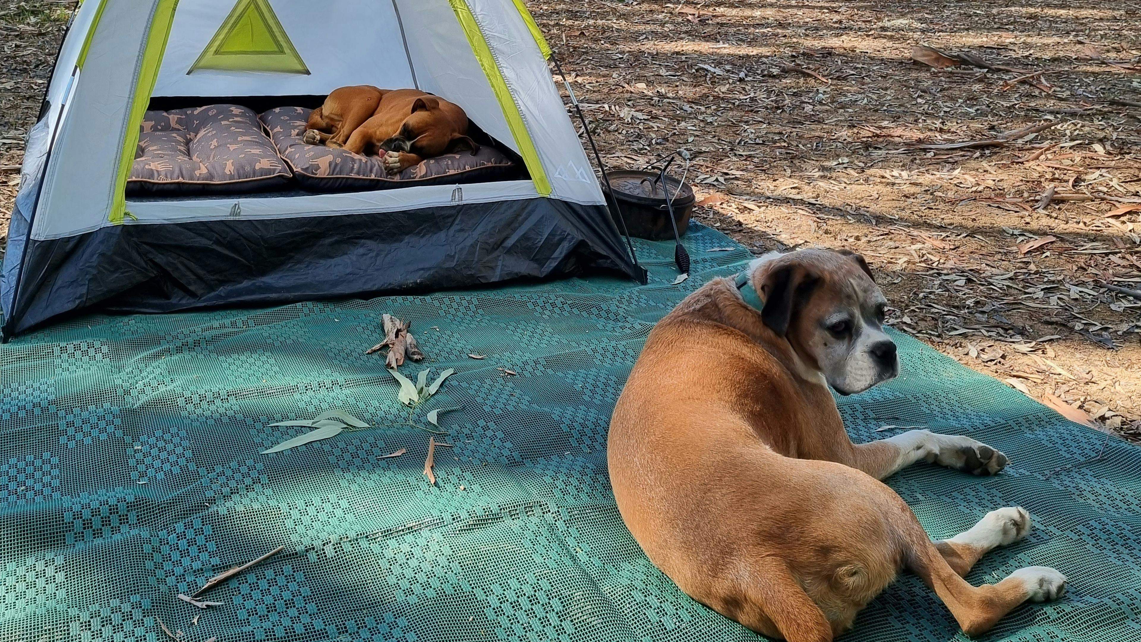 Murray-View-Murray-River-Sandbar_Stlfsur