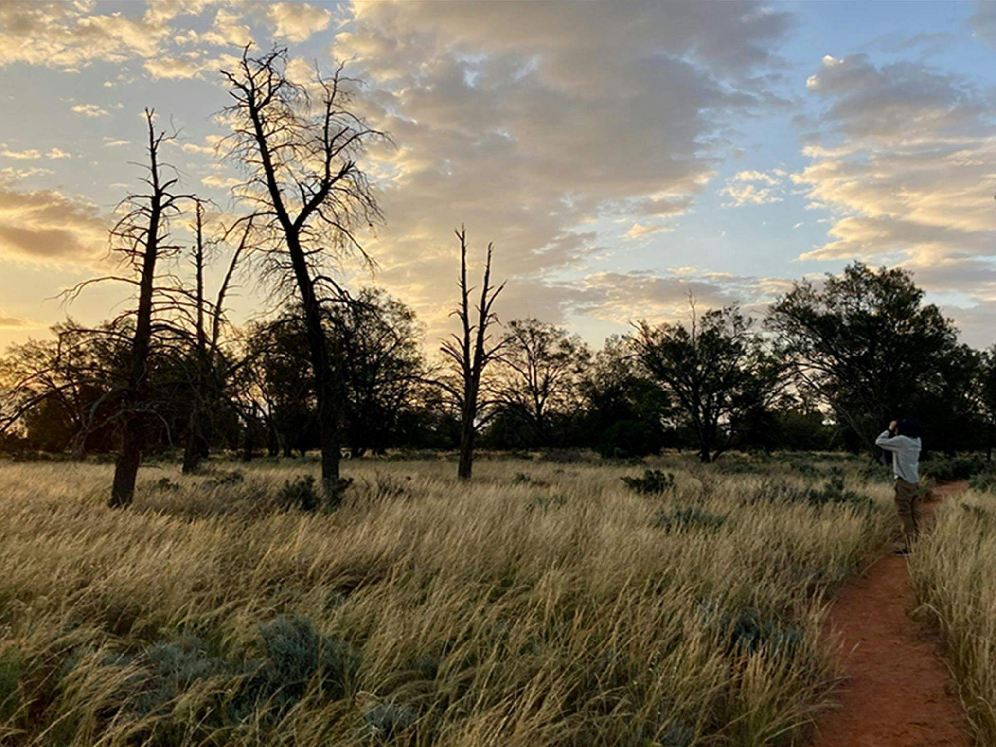 Mungo_Walking-Track_2Gsv798