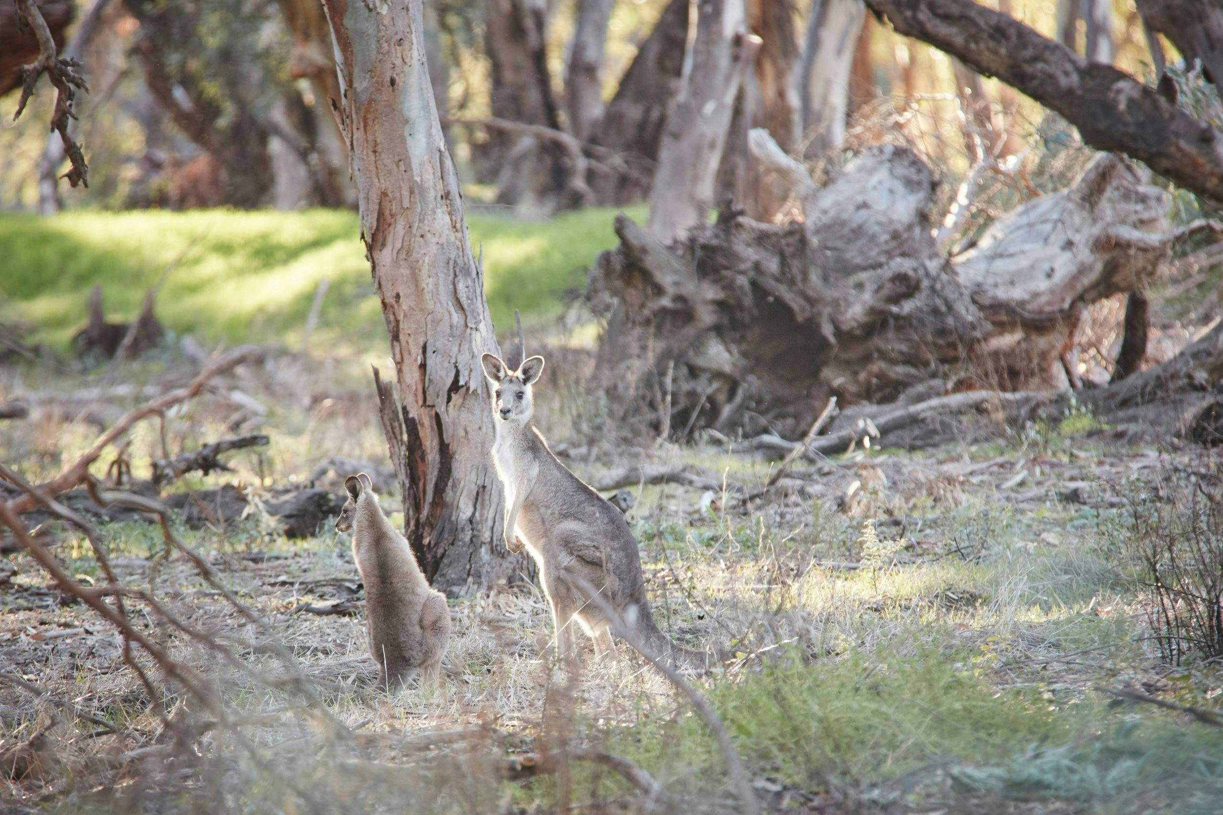 18625C9Bdabac1782Ecc87Fa55Cd593C