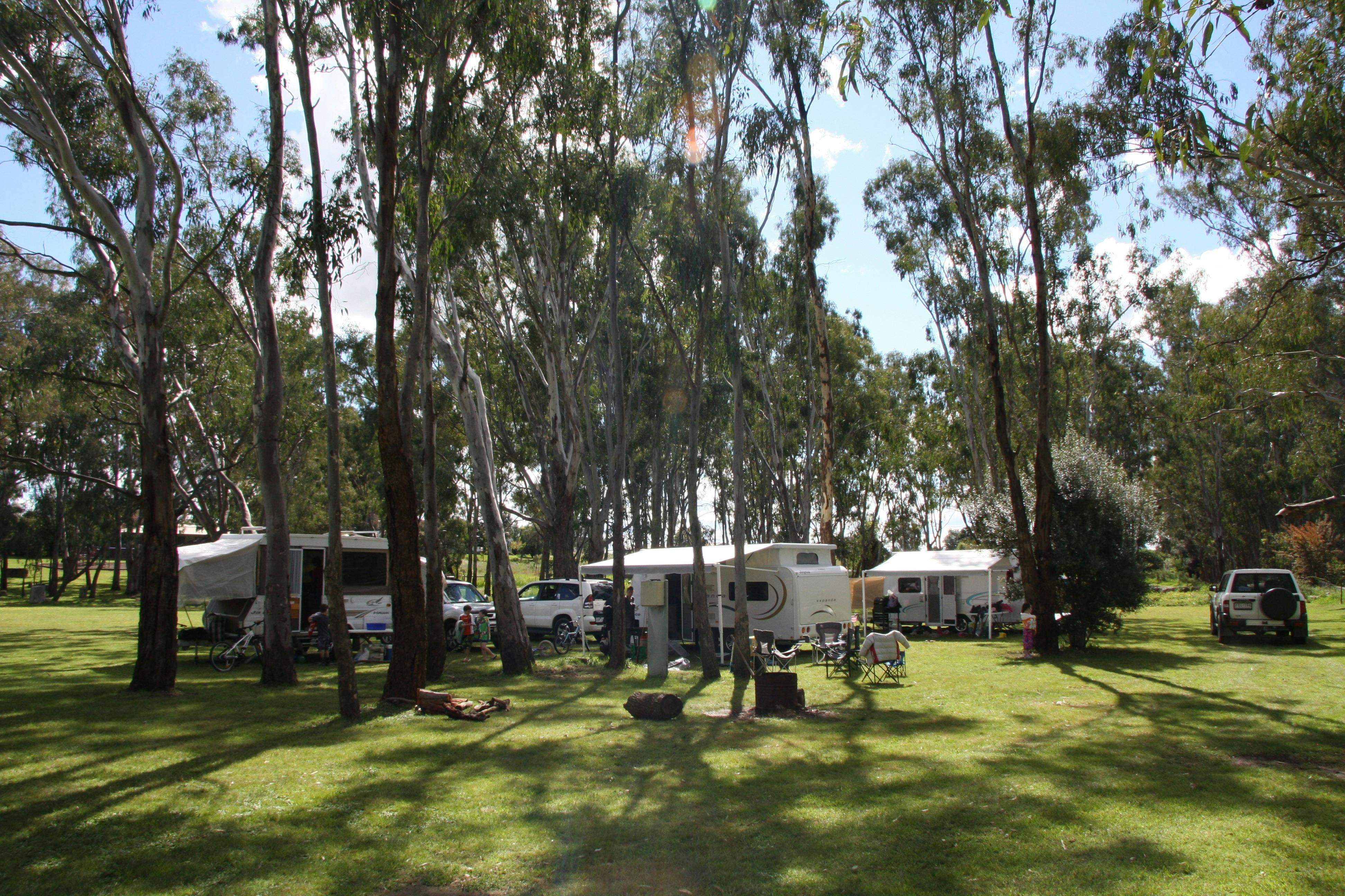 8Afaff85977B913B7102252712845044