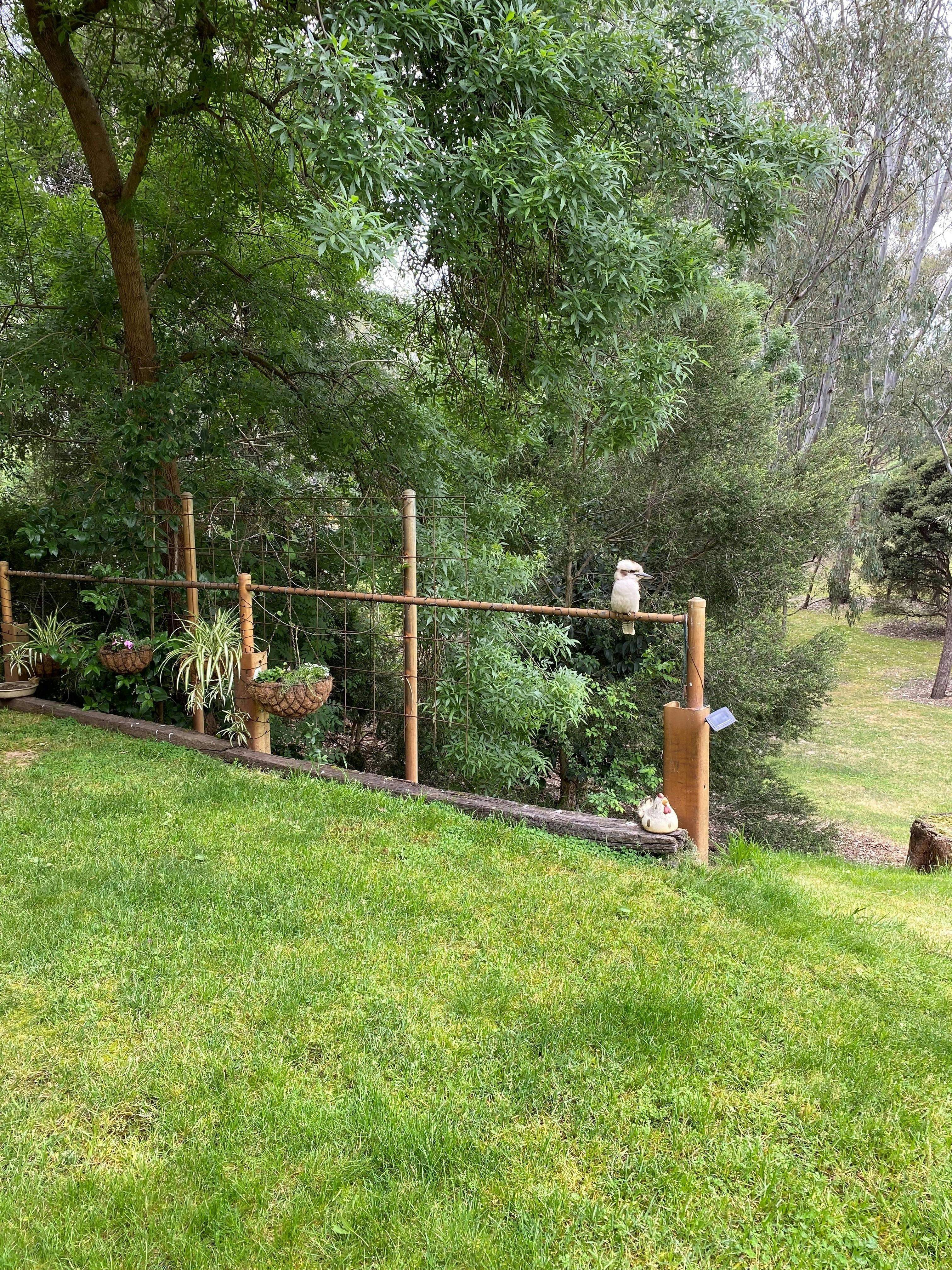 Bc9Fed36Dab39C2404868409Dc5751C6