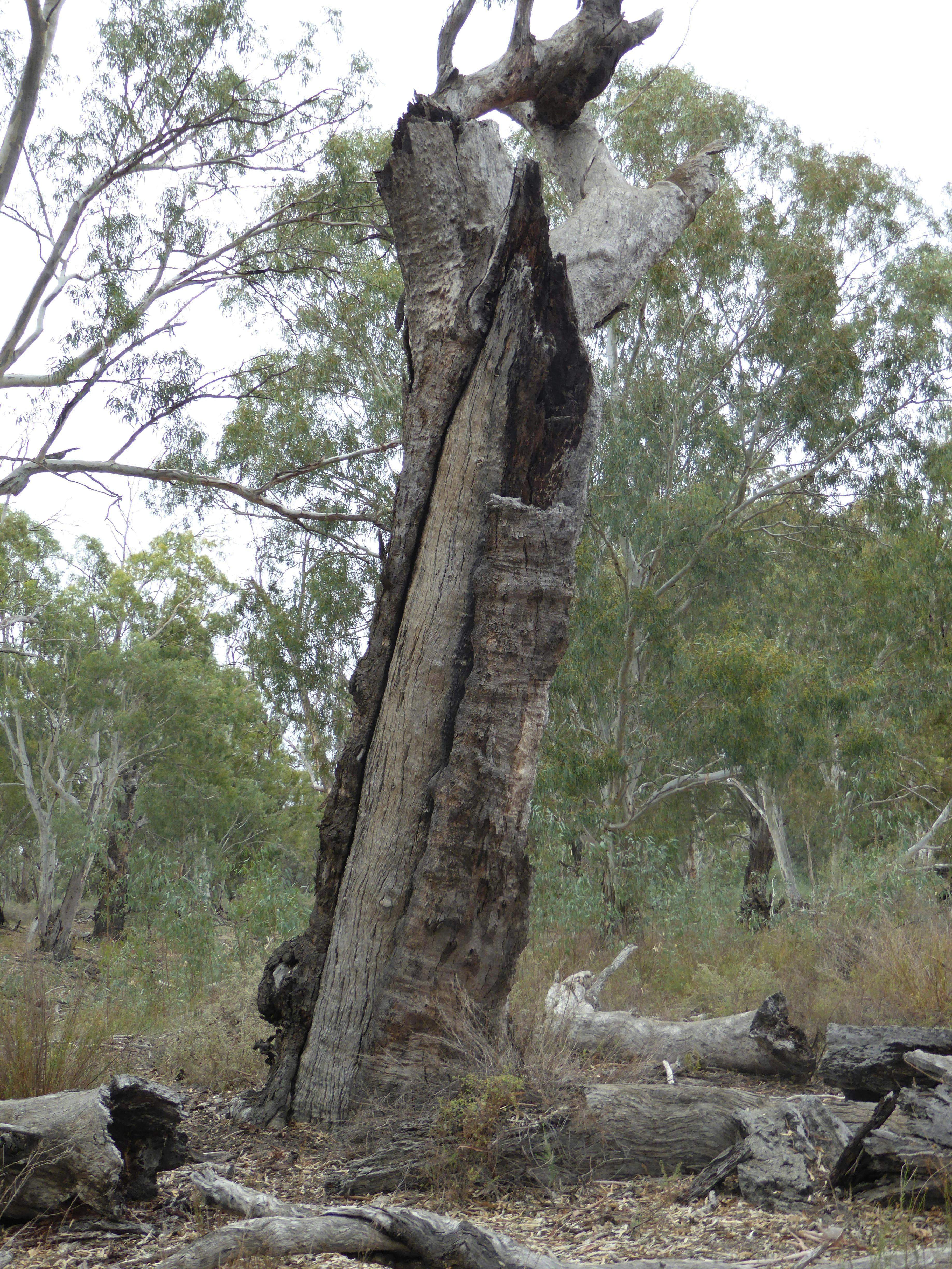 D1Fe53402B43039A6926E7F710A025Aa