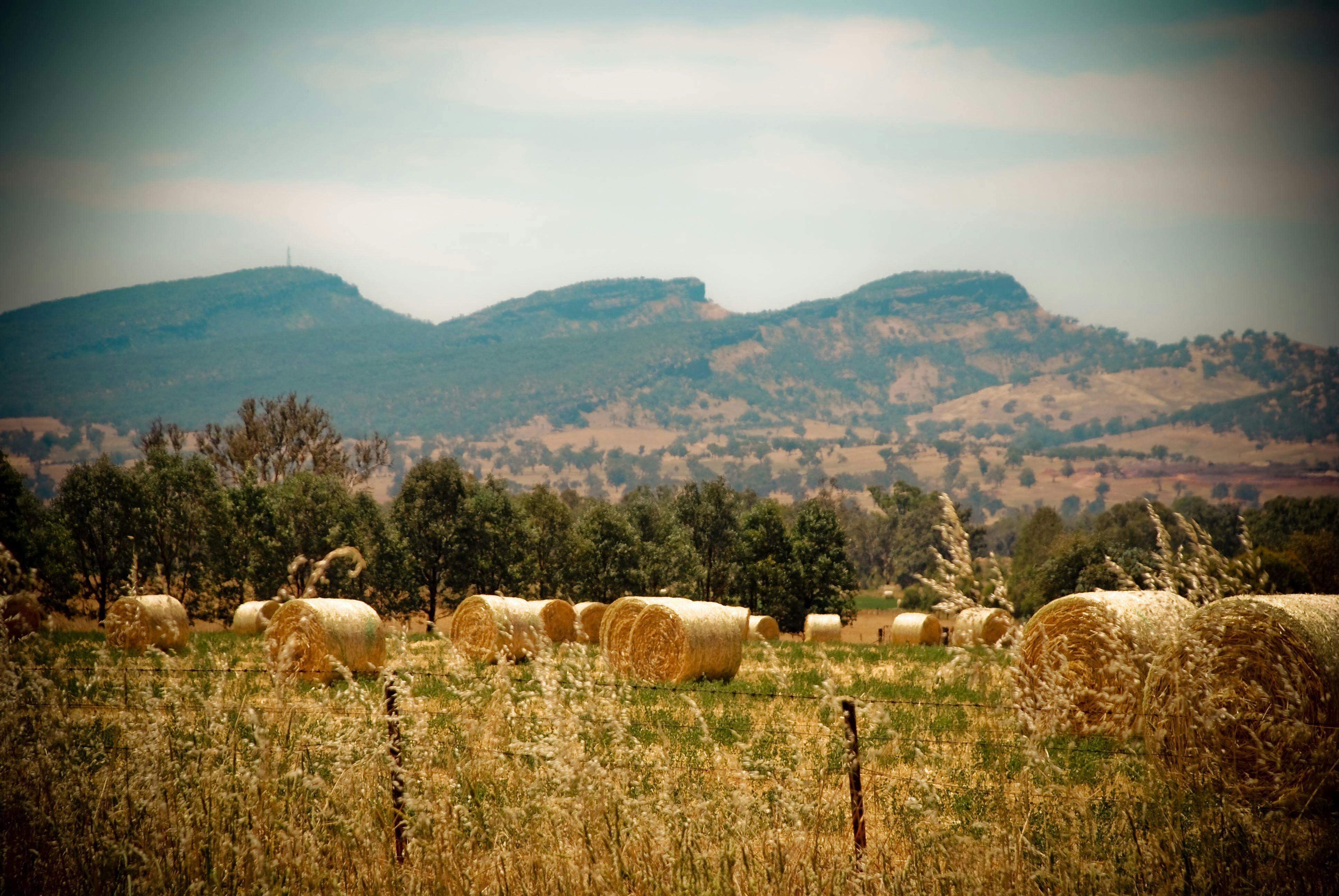 Visit the Murray | Table Top Mountain Experience