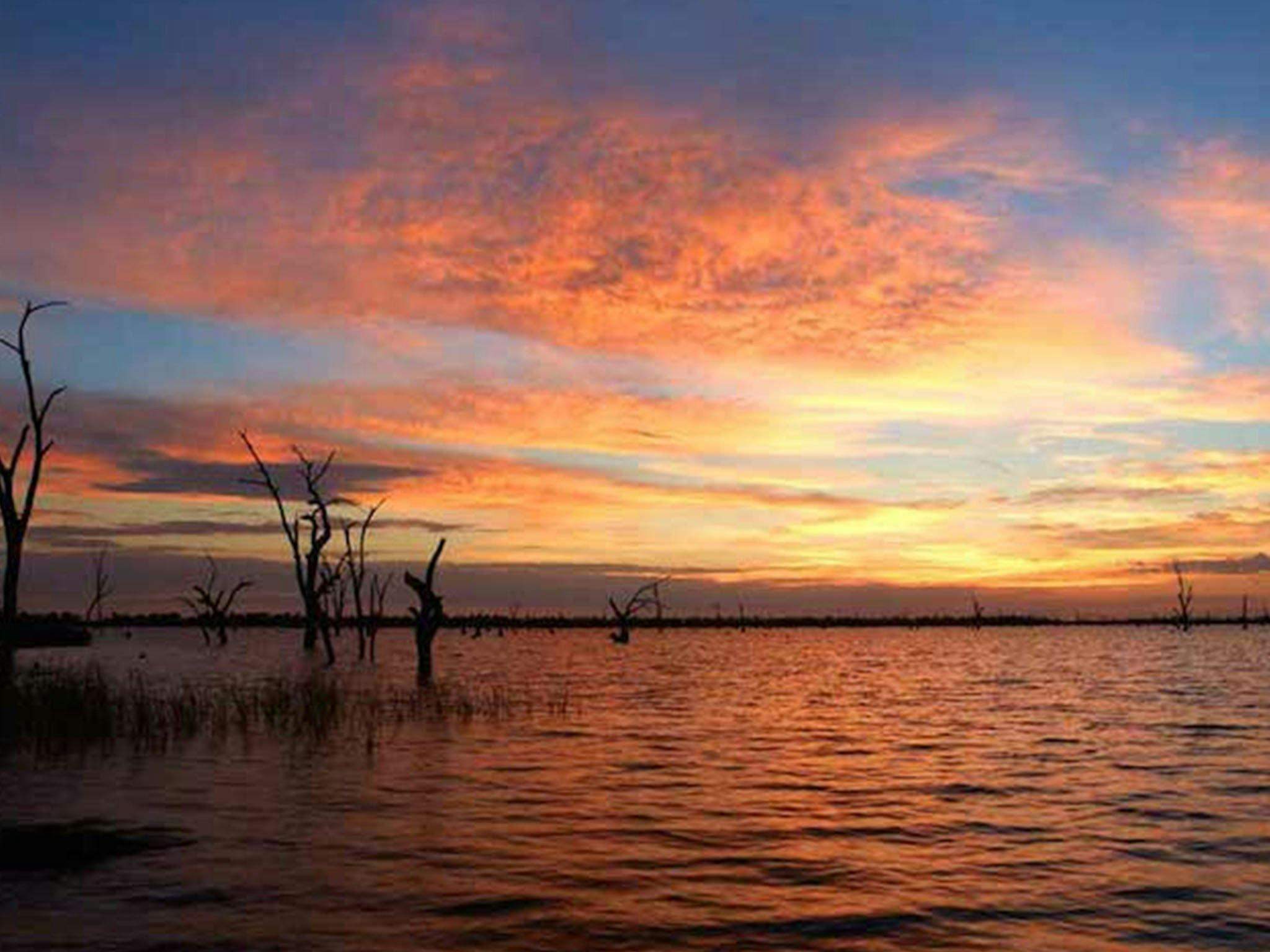 13013080E2Fd2C9B1544F35116486643