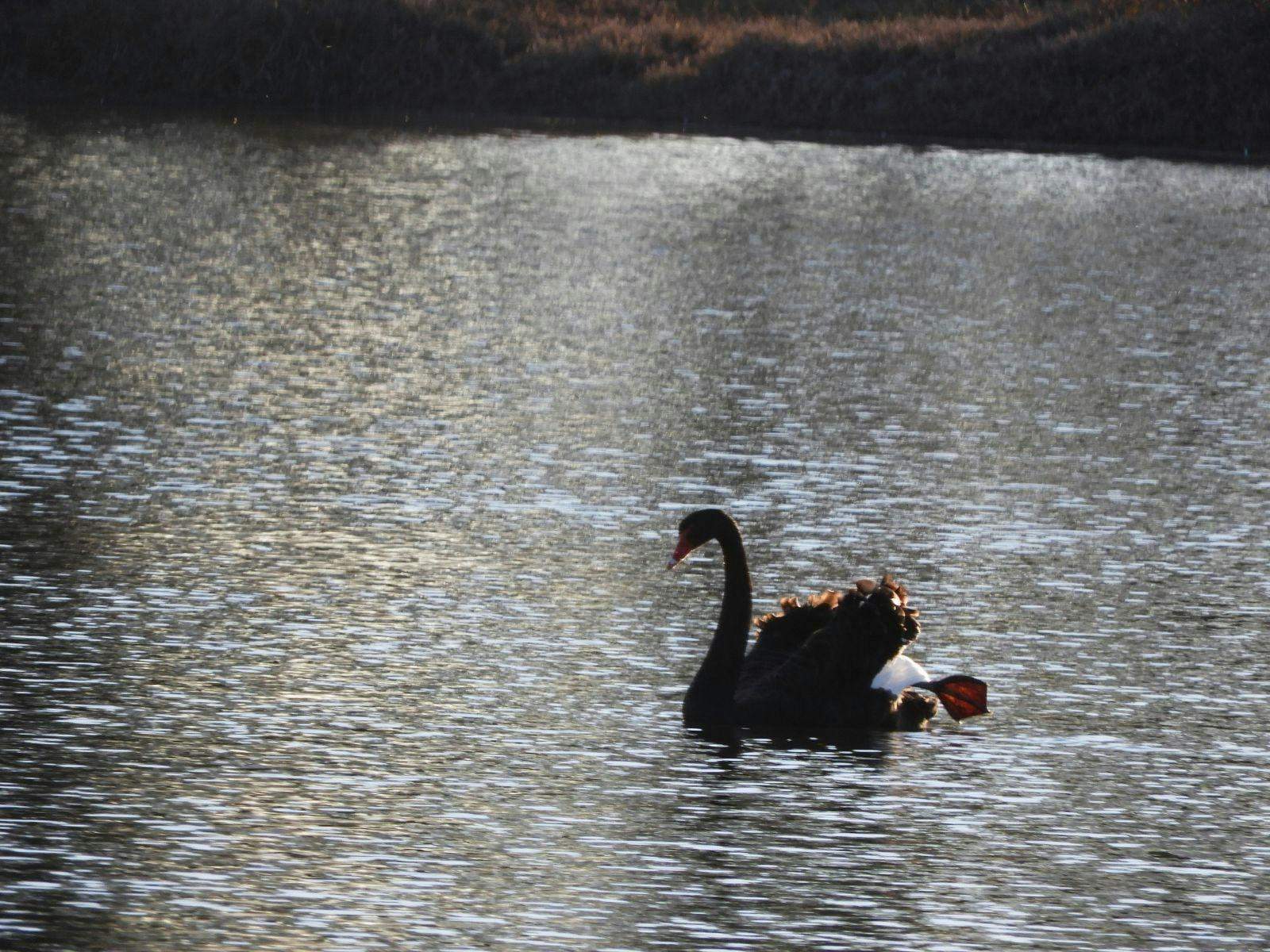 D6785Be0D194Ab416Fbbd5Af56D2Cf65