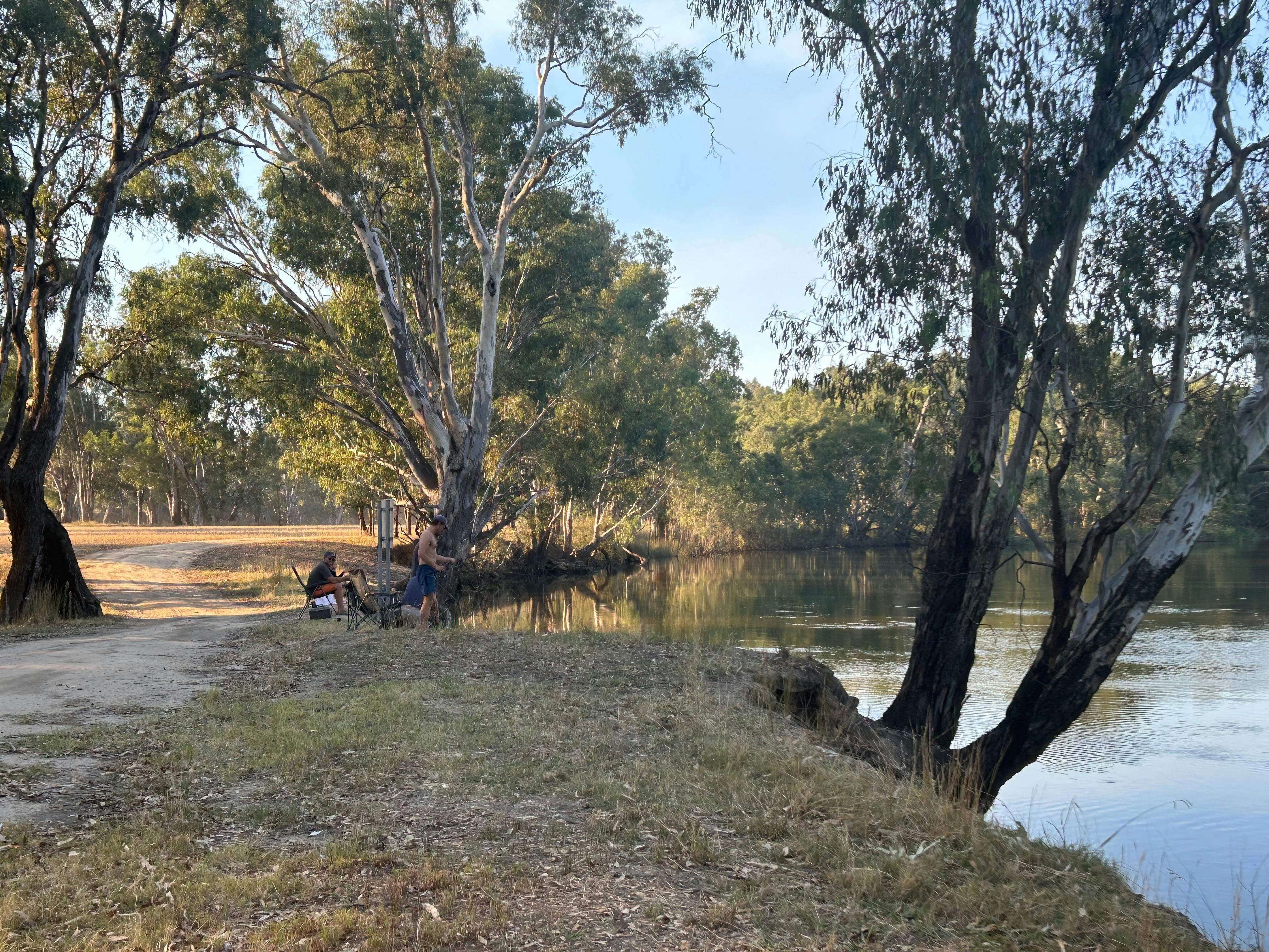 914Ae70B2Ebda766B484D53Eba2D2131