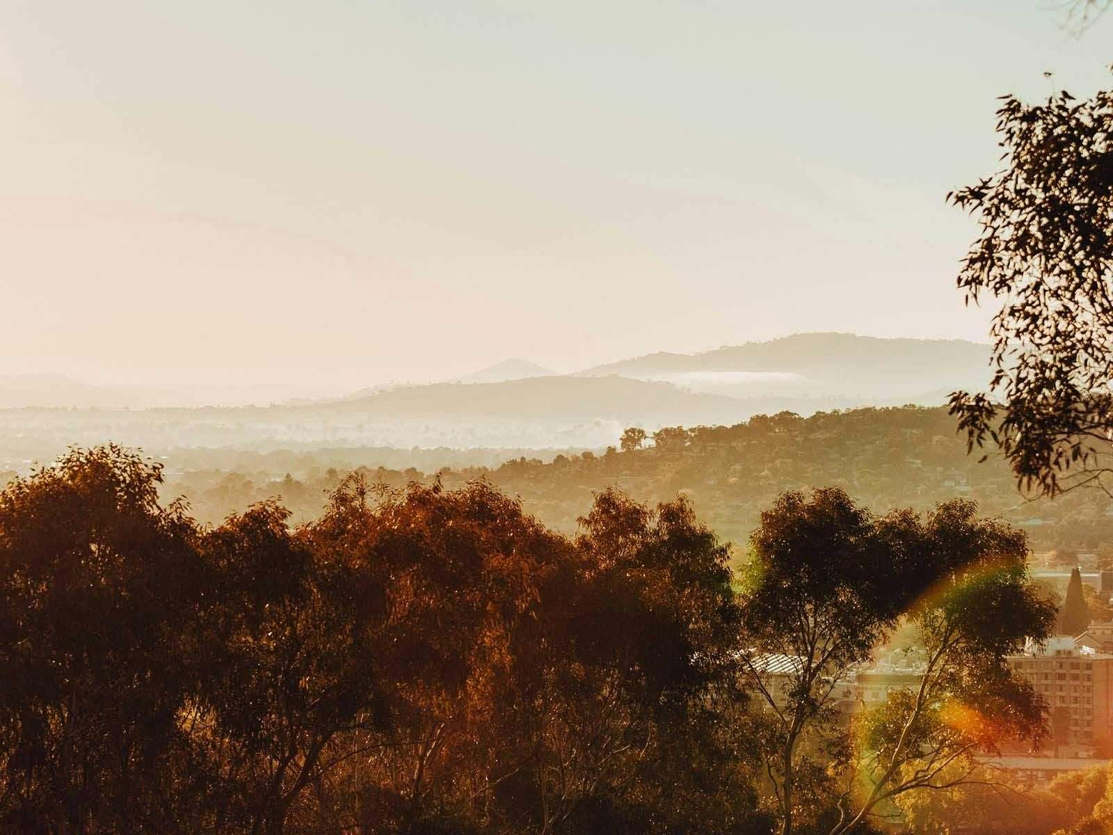 5B4Bc33A725600C20F9Ab33B22B1C22D