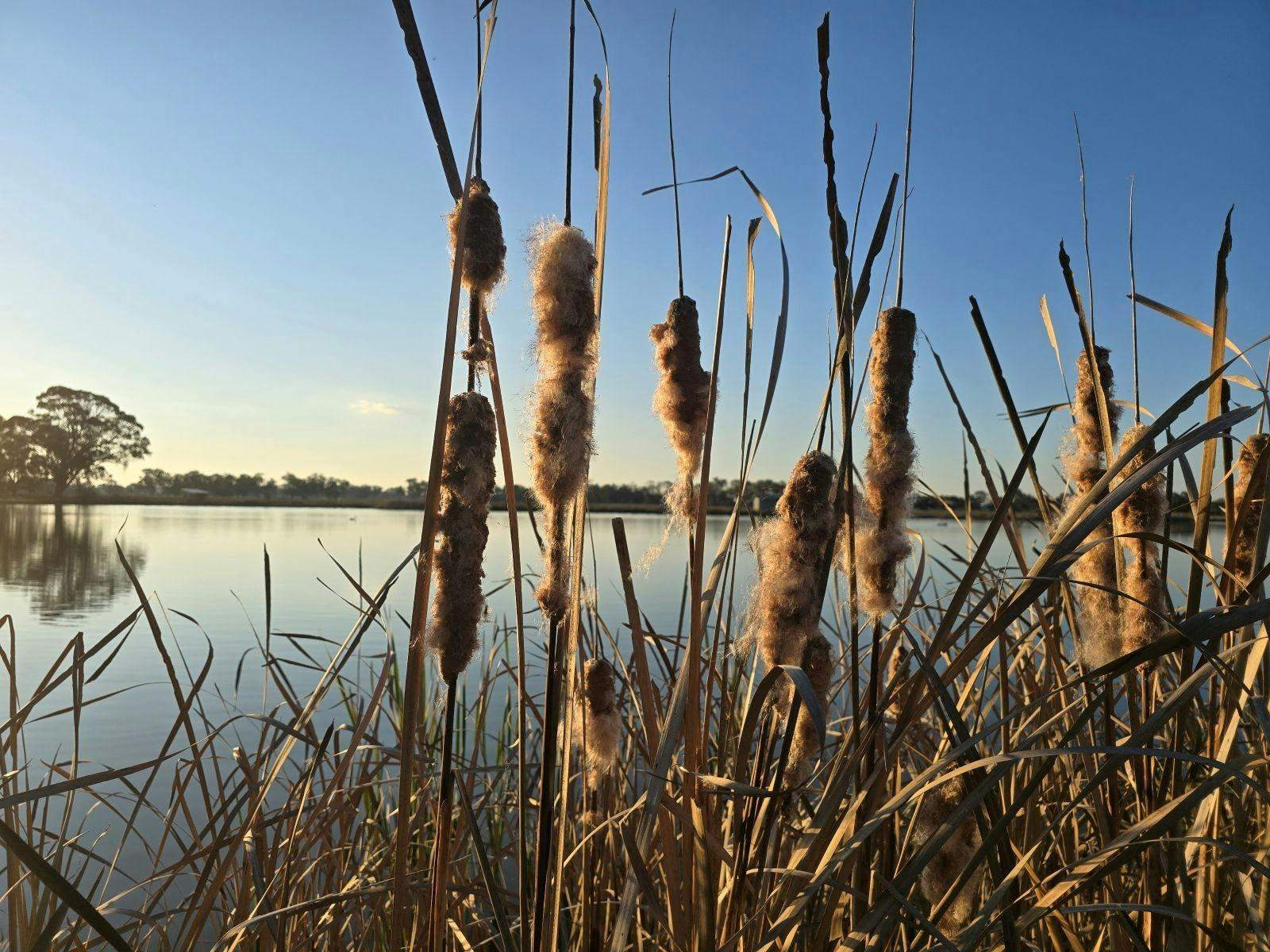 292Ab8Ac8D0Bae715A9De4Dde60Ef020