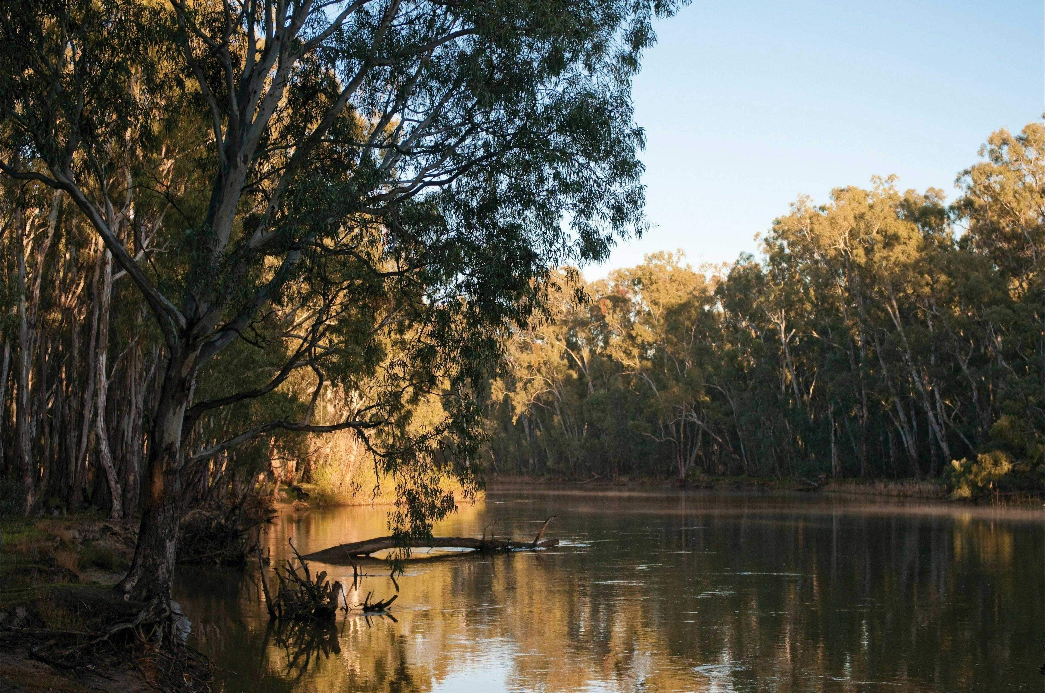 Ad896D6895Ecbc96Ca5Efaaa7C212467