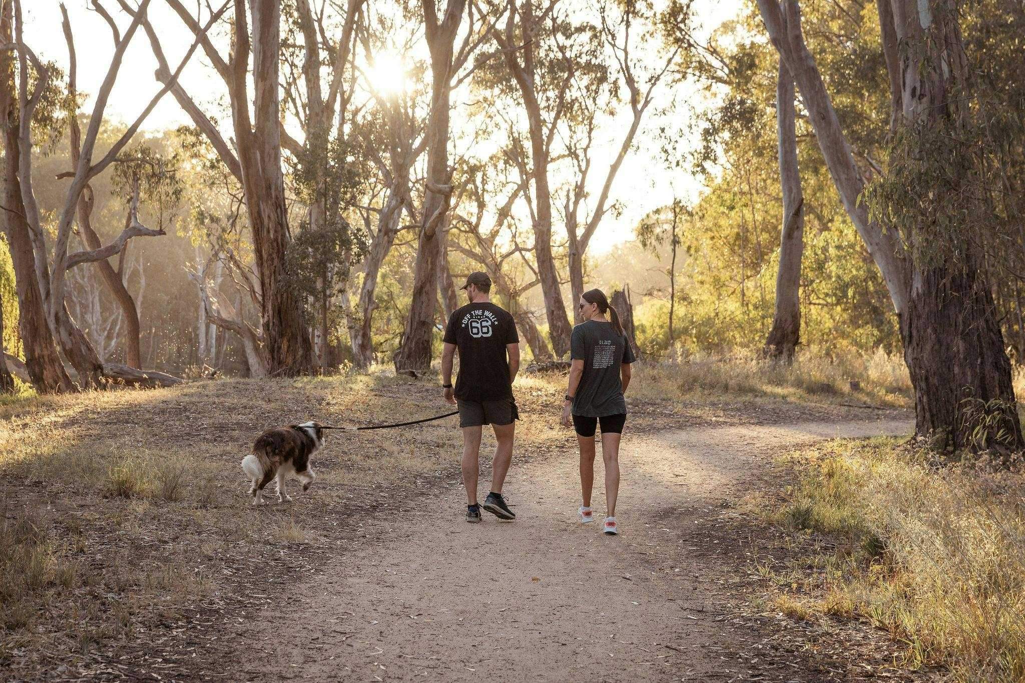 78Fedc426Ca904334C56Ed4Cabf464C5