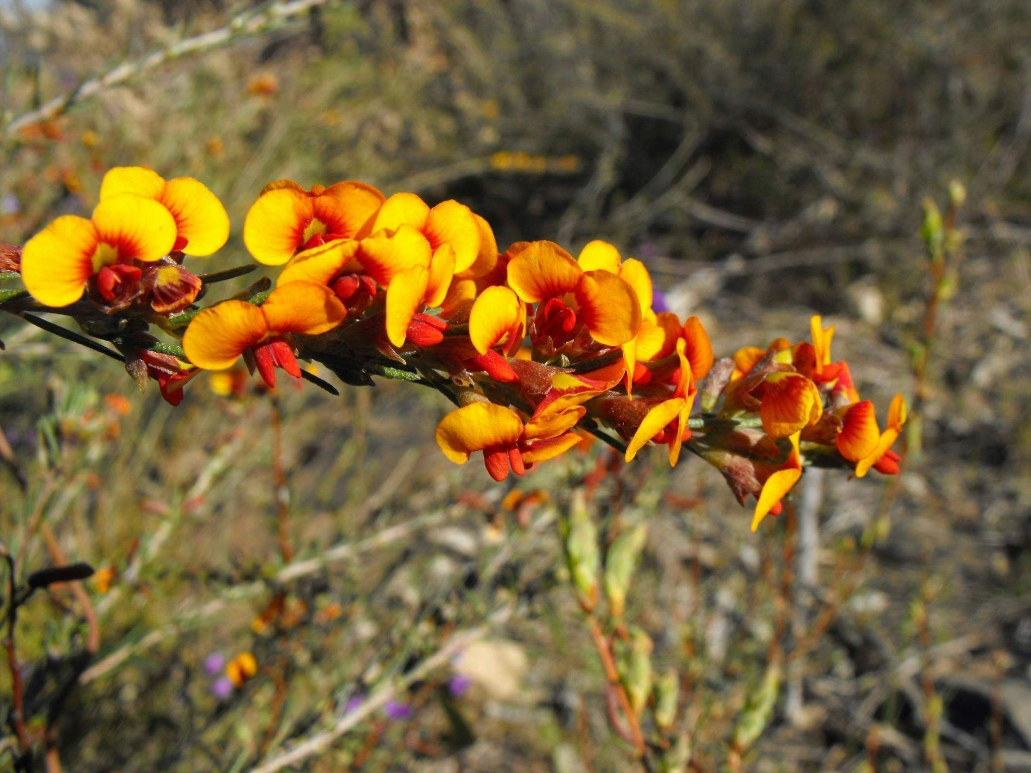 389376F086F2A41579E0C4F0Bc33B800