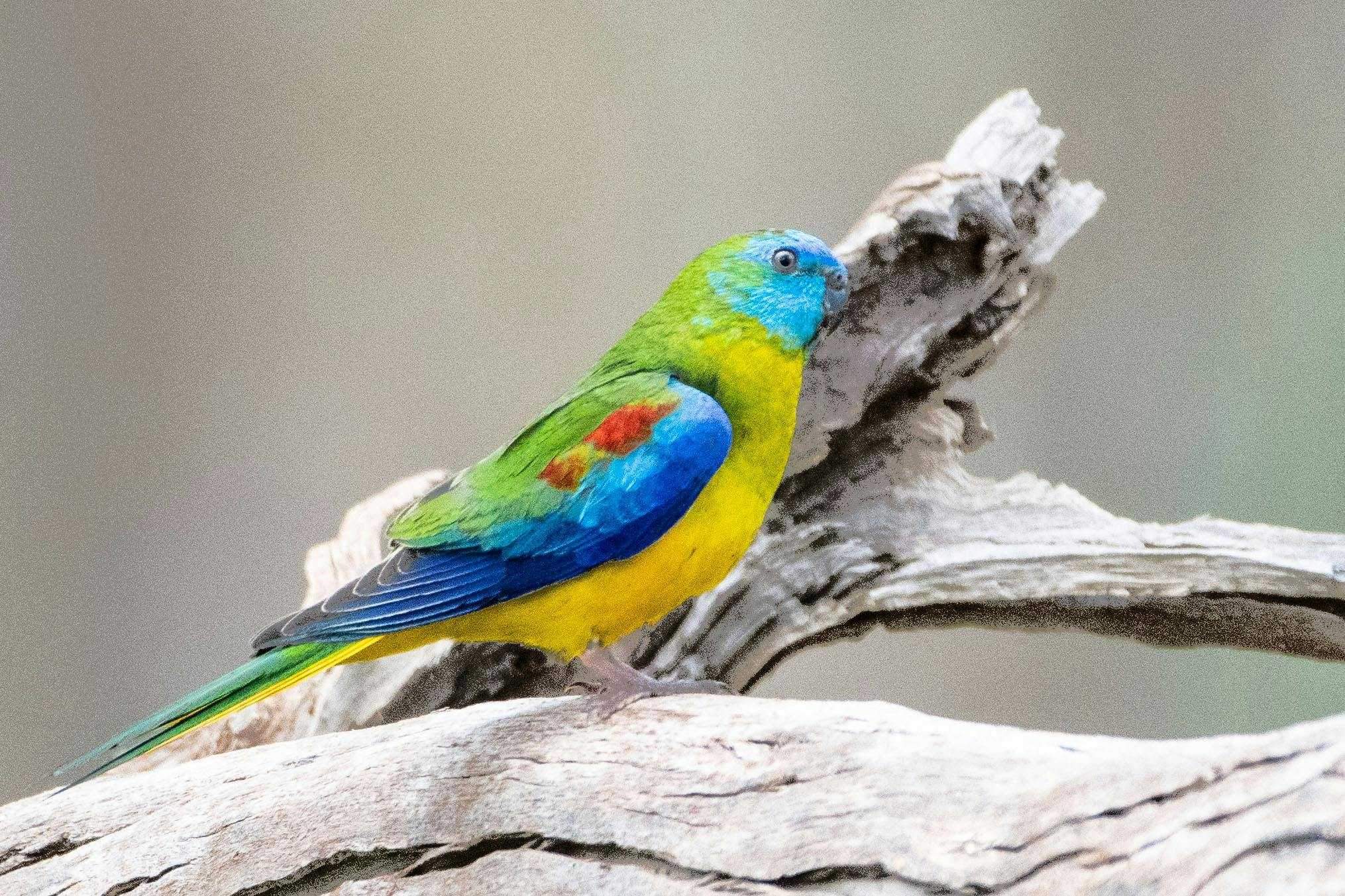 6B2F21317339275C9Fe0F7Baaf5A5652