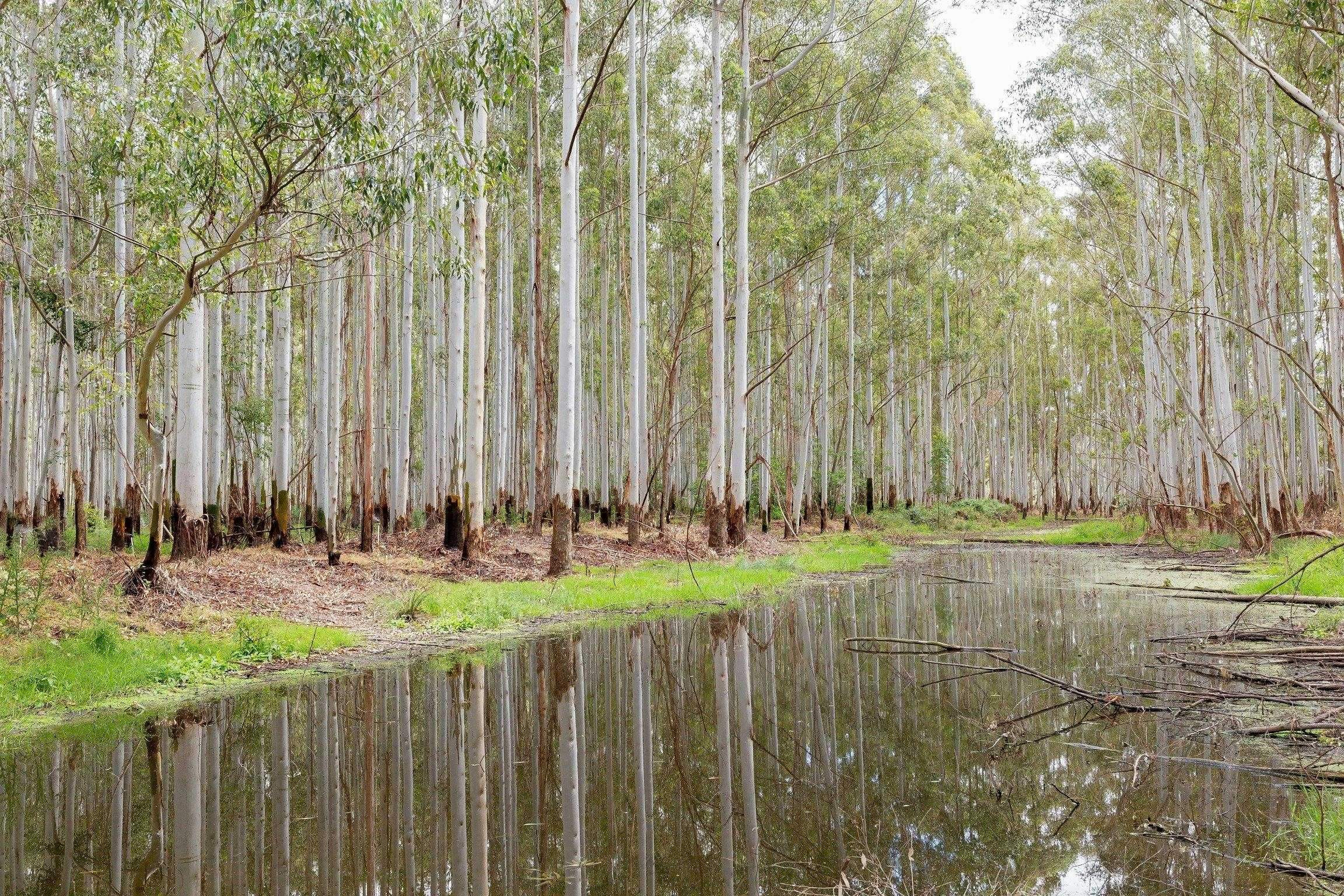 E5836D29C04B948C67C1A9753518E48B