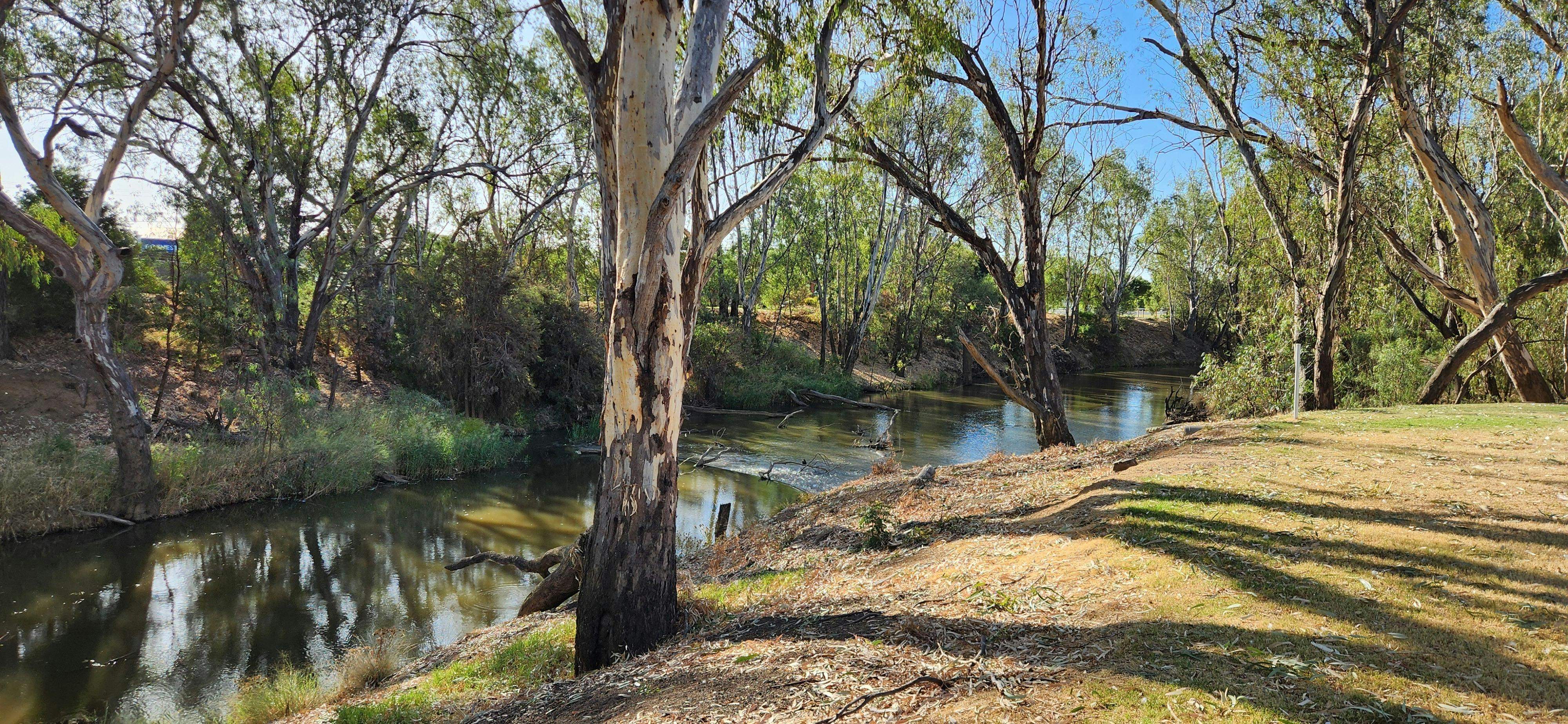 D97E7A6Eda9Ea70Bb3330Bc1Dbe08Cd6