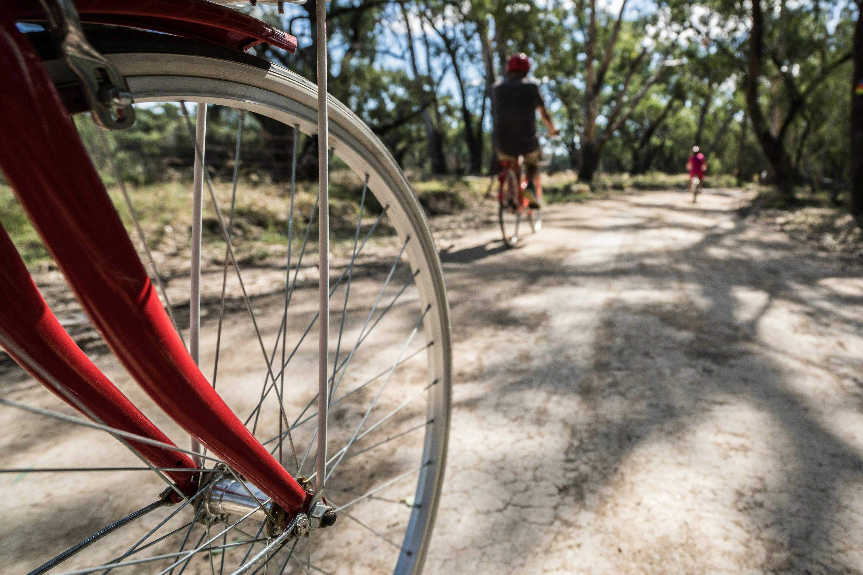 Ebc3A44803Af185D934A7B0C1E4Feea7