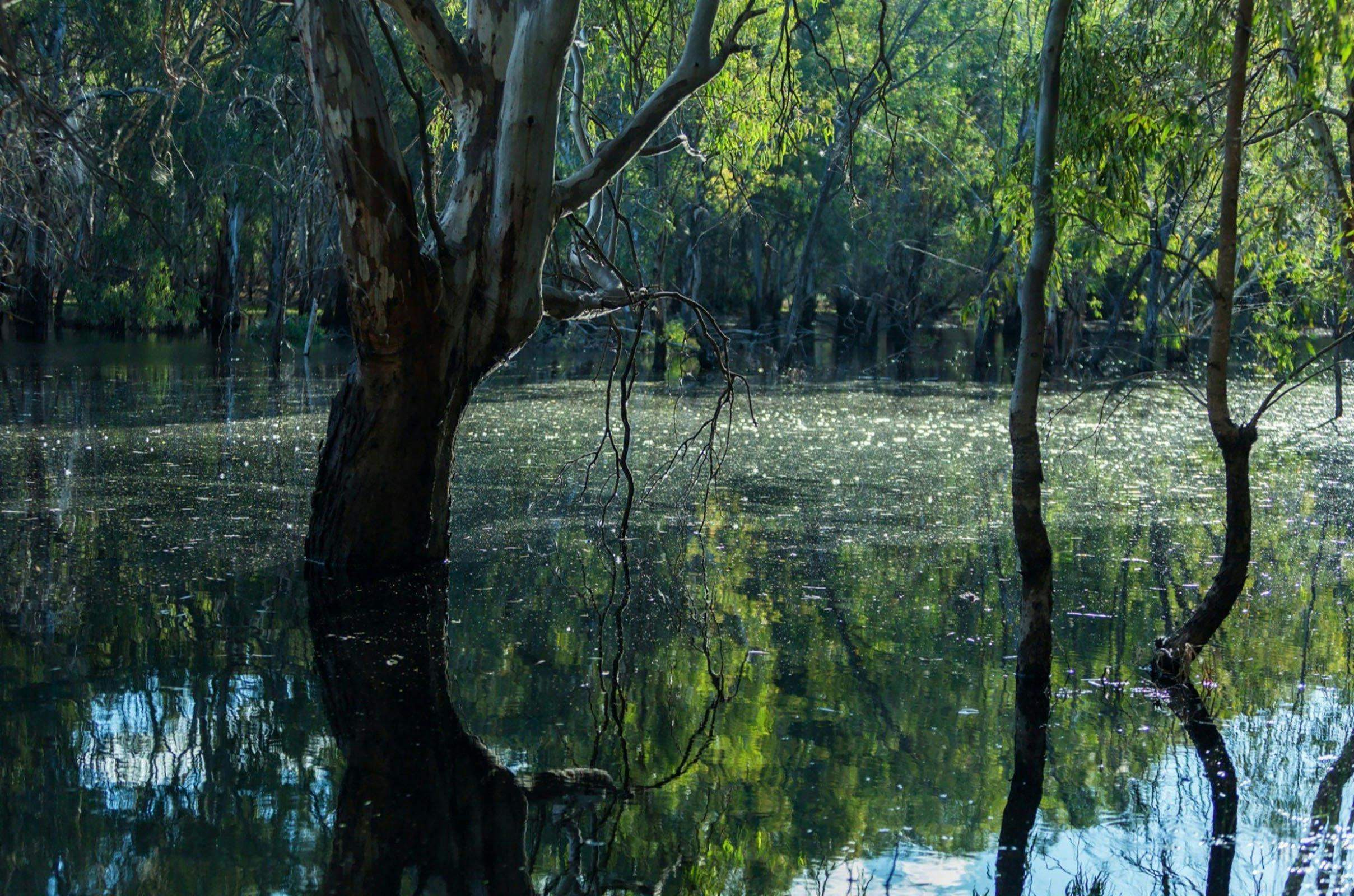 F495C58A8C7D804Fadc1441272696655