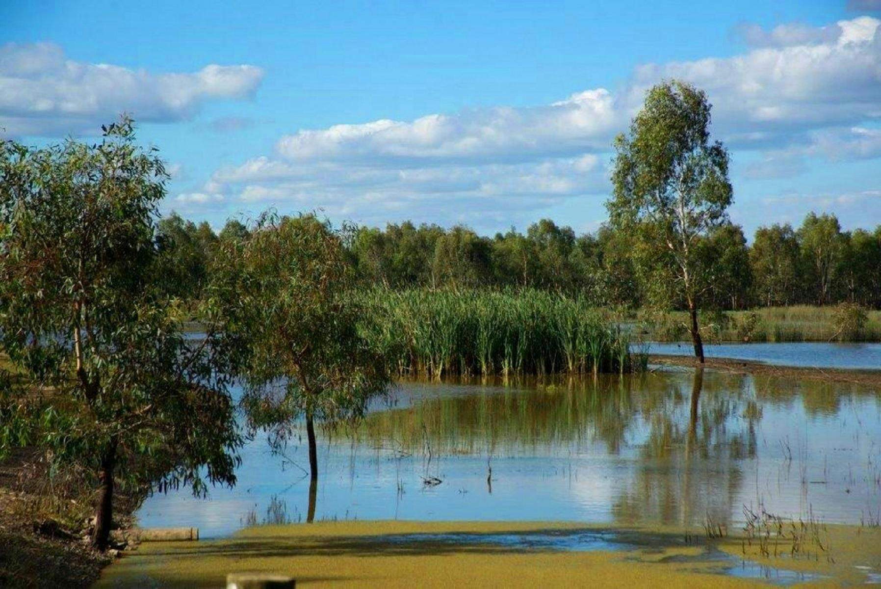 6B77D4Cdedac28101F67Ff85C8C9550F