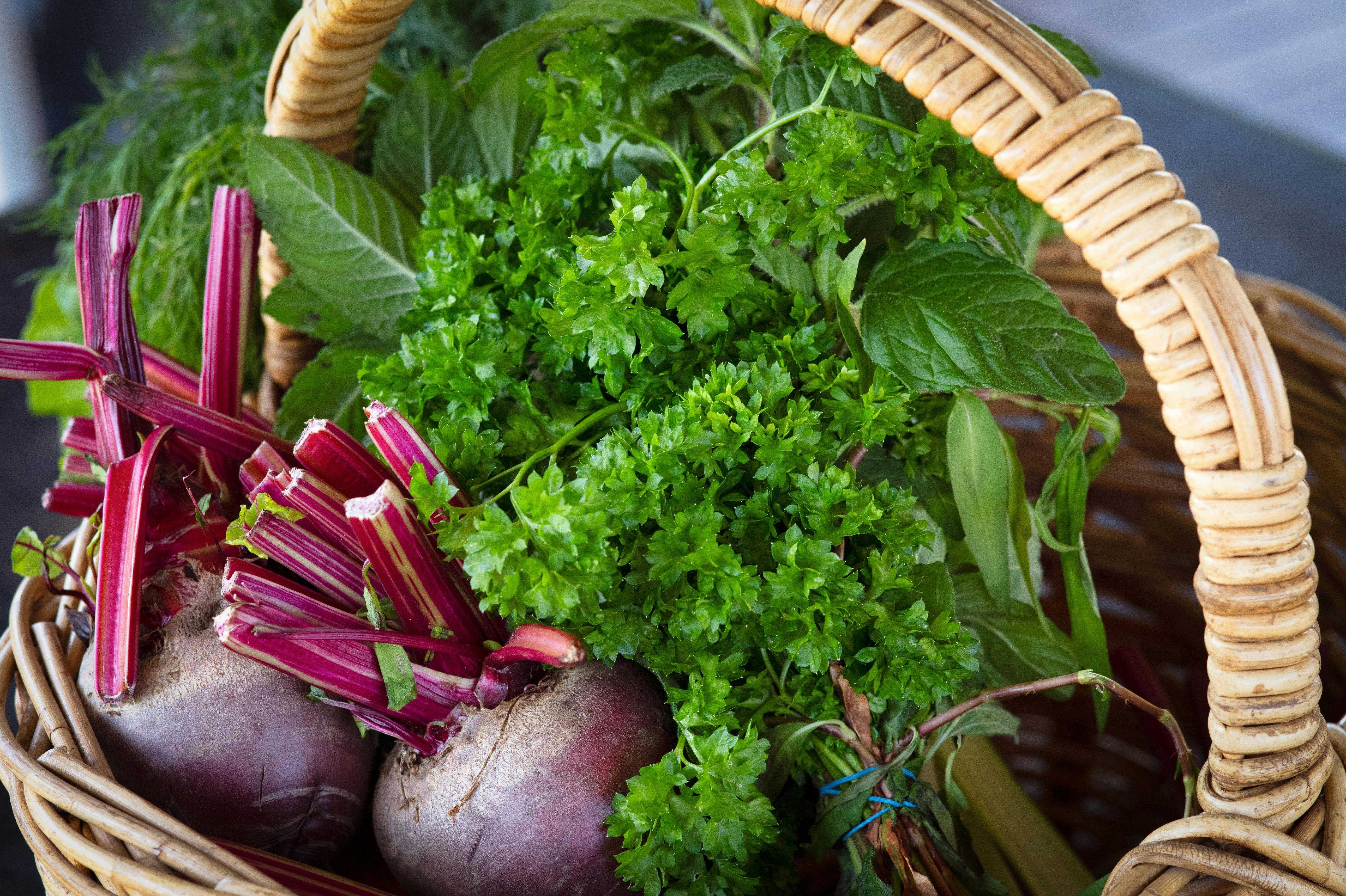 34Ec78A8173B55F821418634Baba2E6E