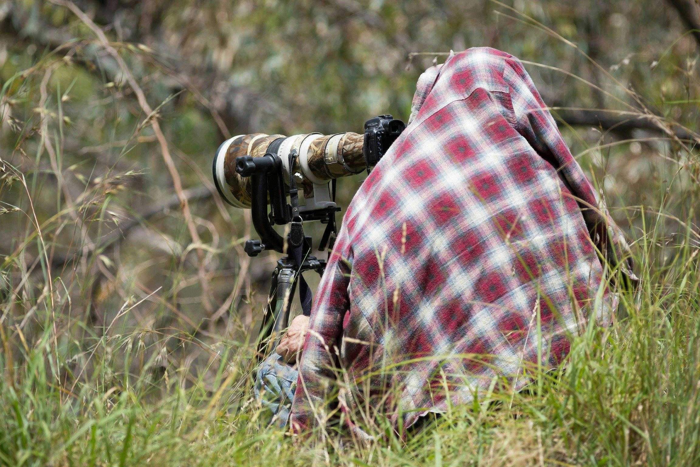 Cd6D3F792072338Fa22E87B1Ff1Cb1B6