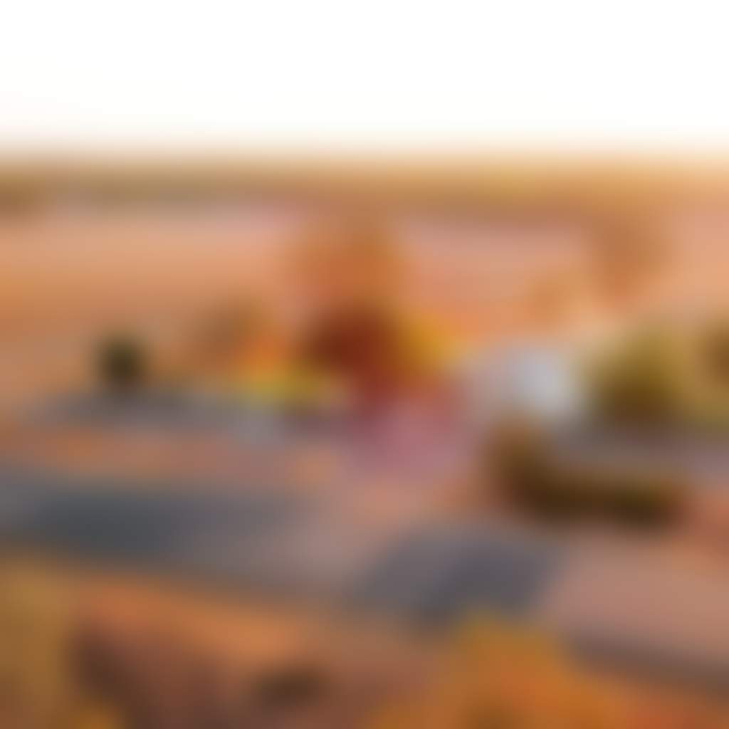 Pretty Pine Visit Deni FB