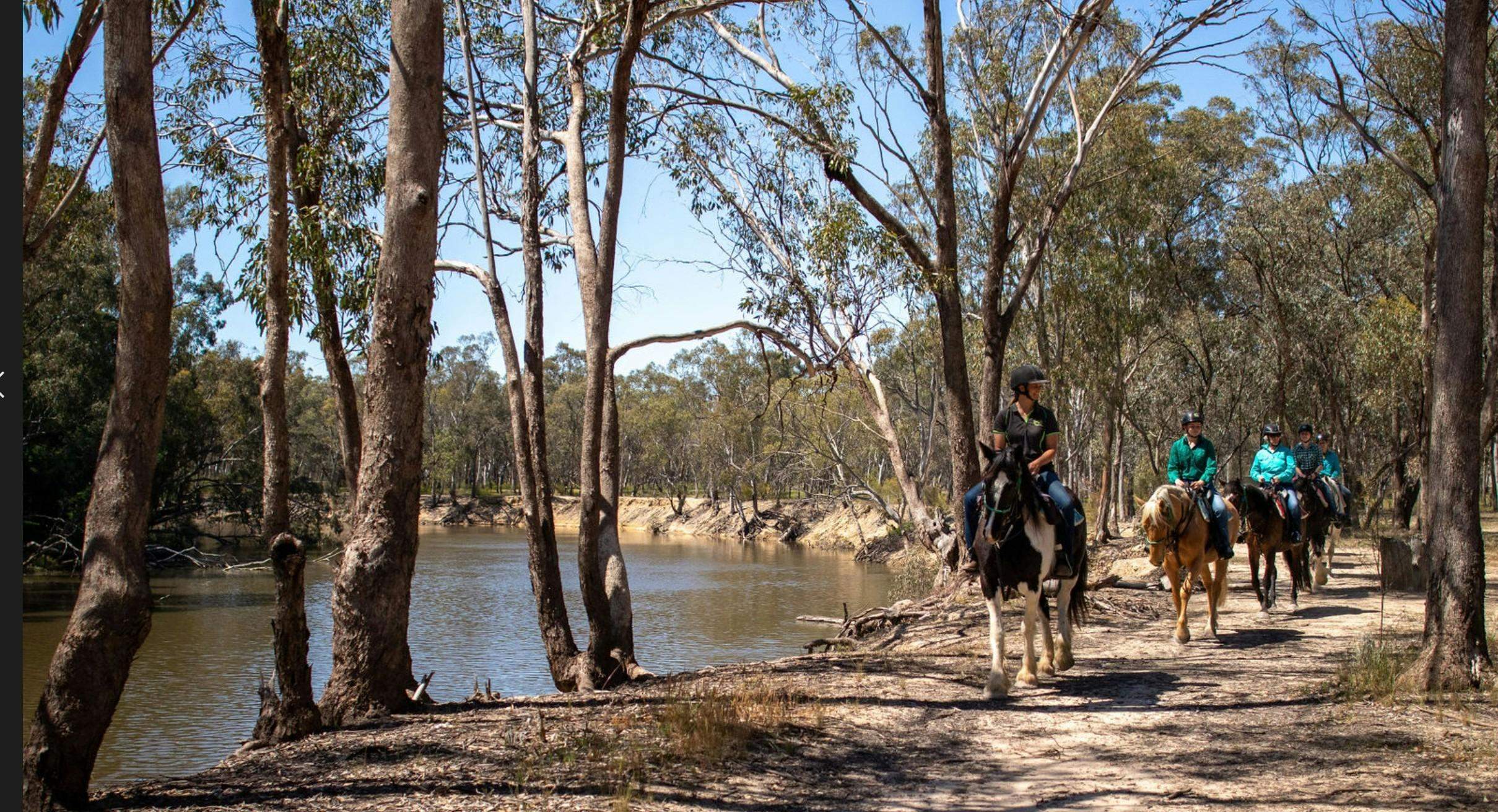 Visit the Murray | Billabong Ranch Adventure Park
