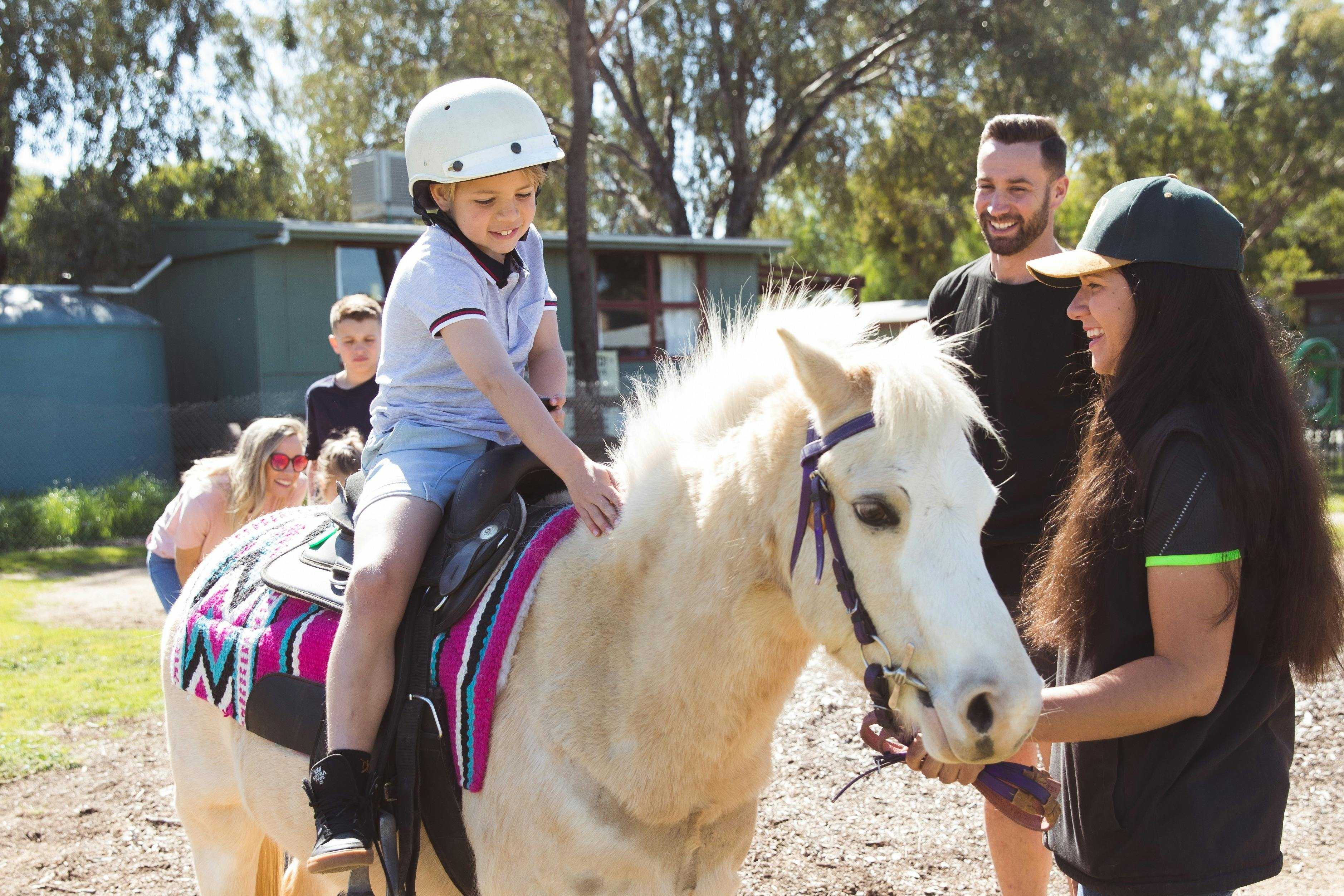 B2F5165987Bd724E782A0A81D4154D32