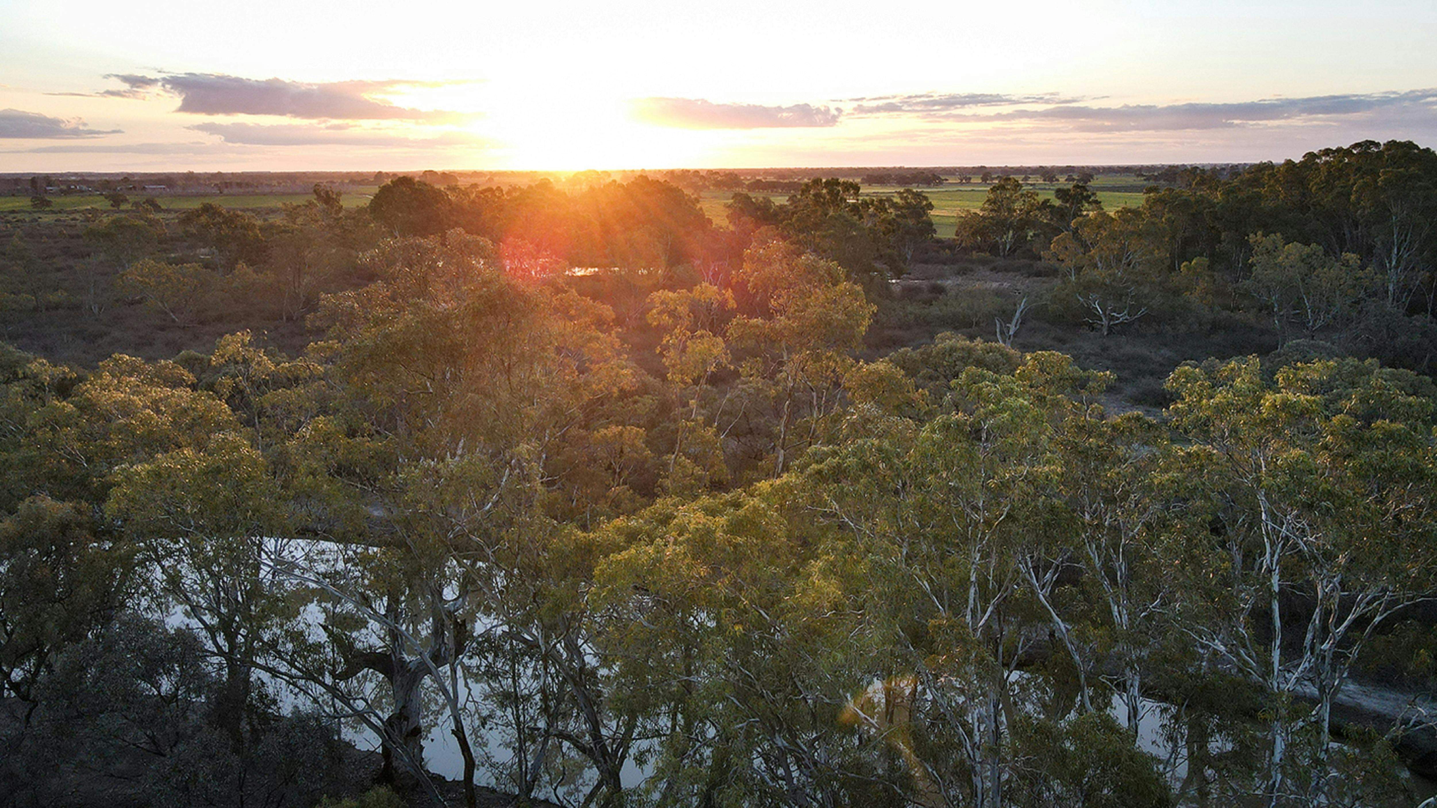 51E9A56A849B9A14E20D164406C19B54