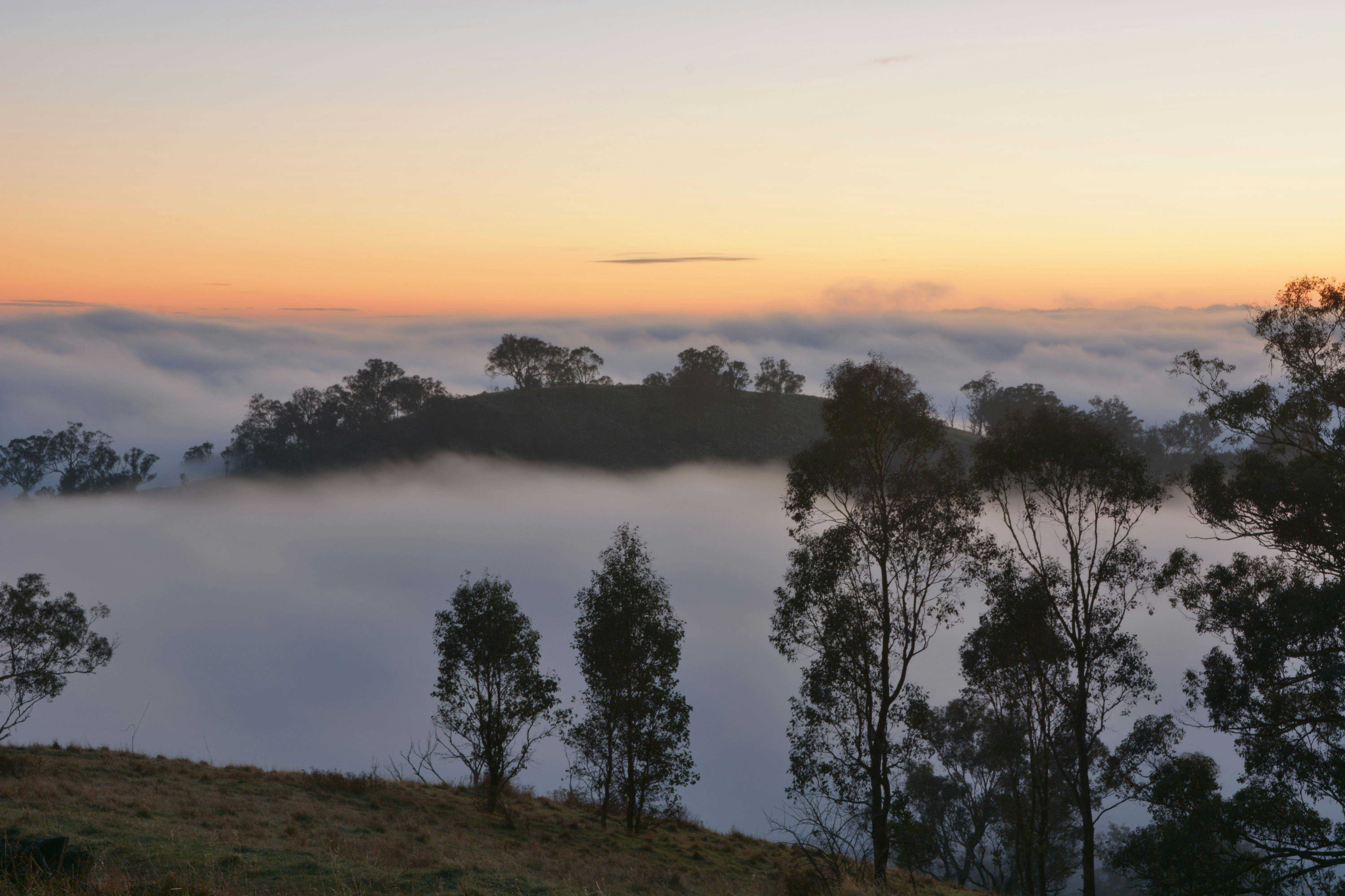 Original__9602764_Dk97_Dsc_0631_Yl13Cuw