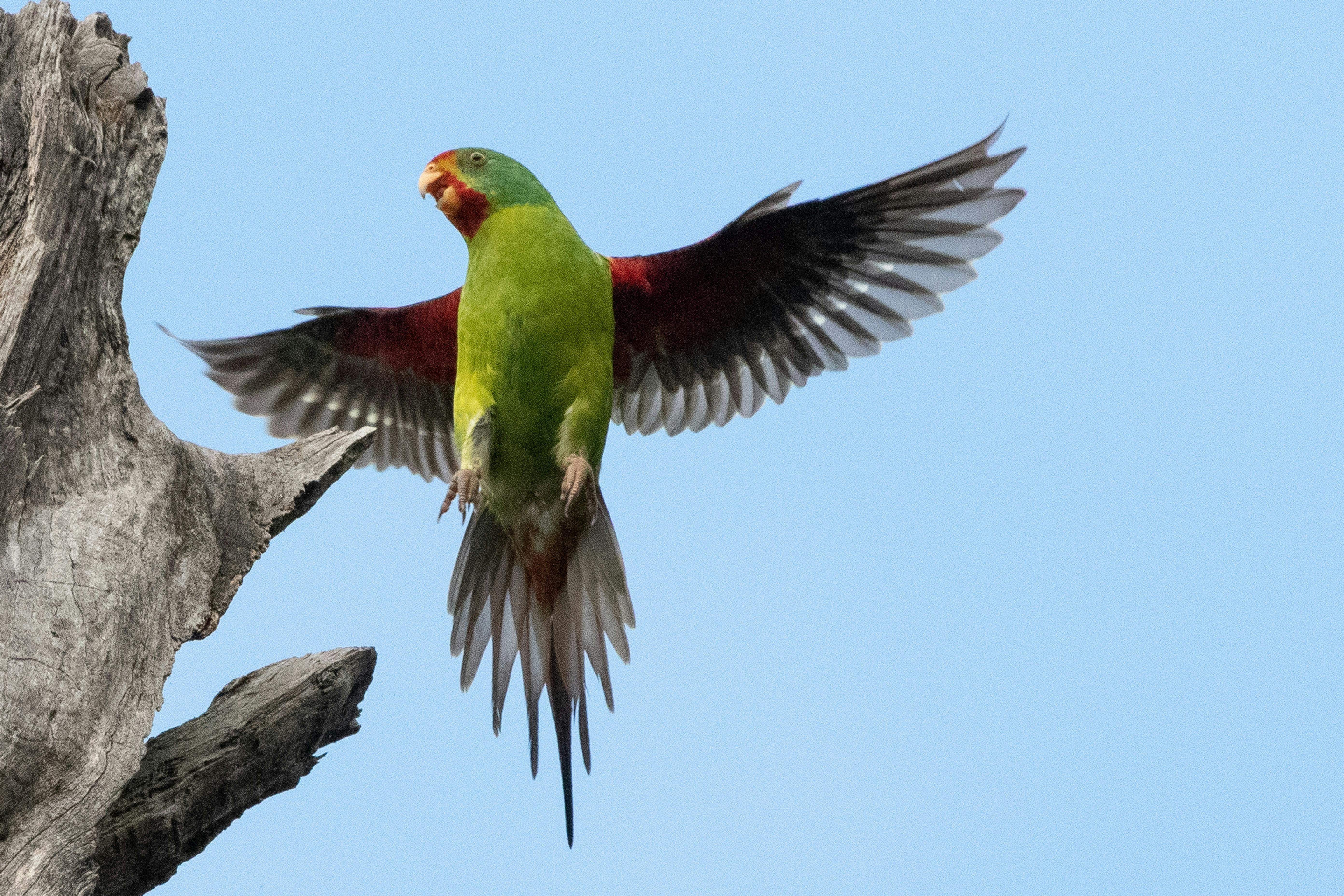 9Cc469200E32Fa279F6C613Bf4330389