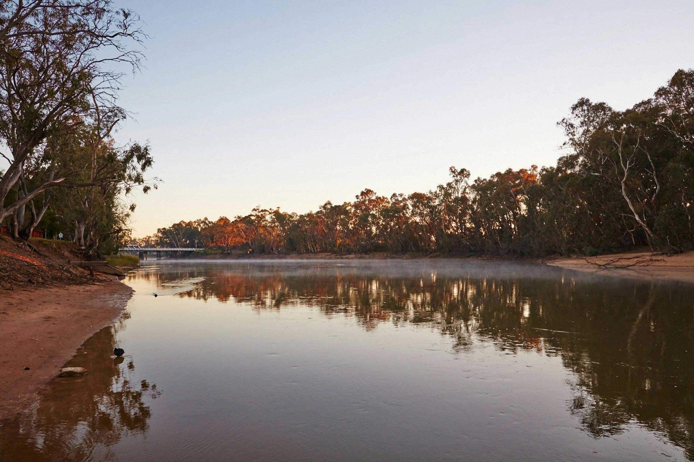 81D2C47A9687Af24B223C92437Cdec21