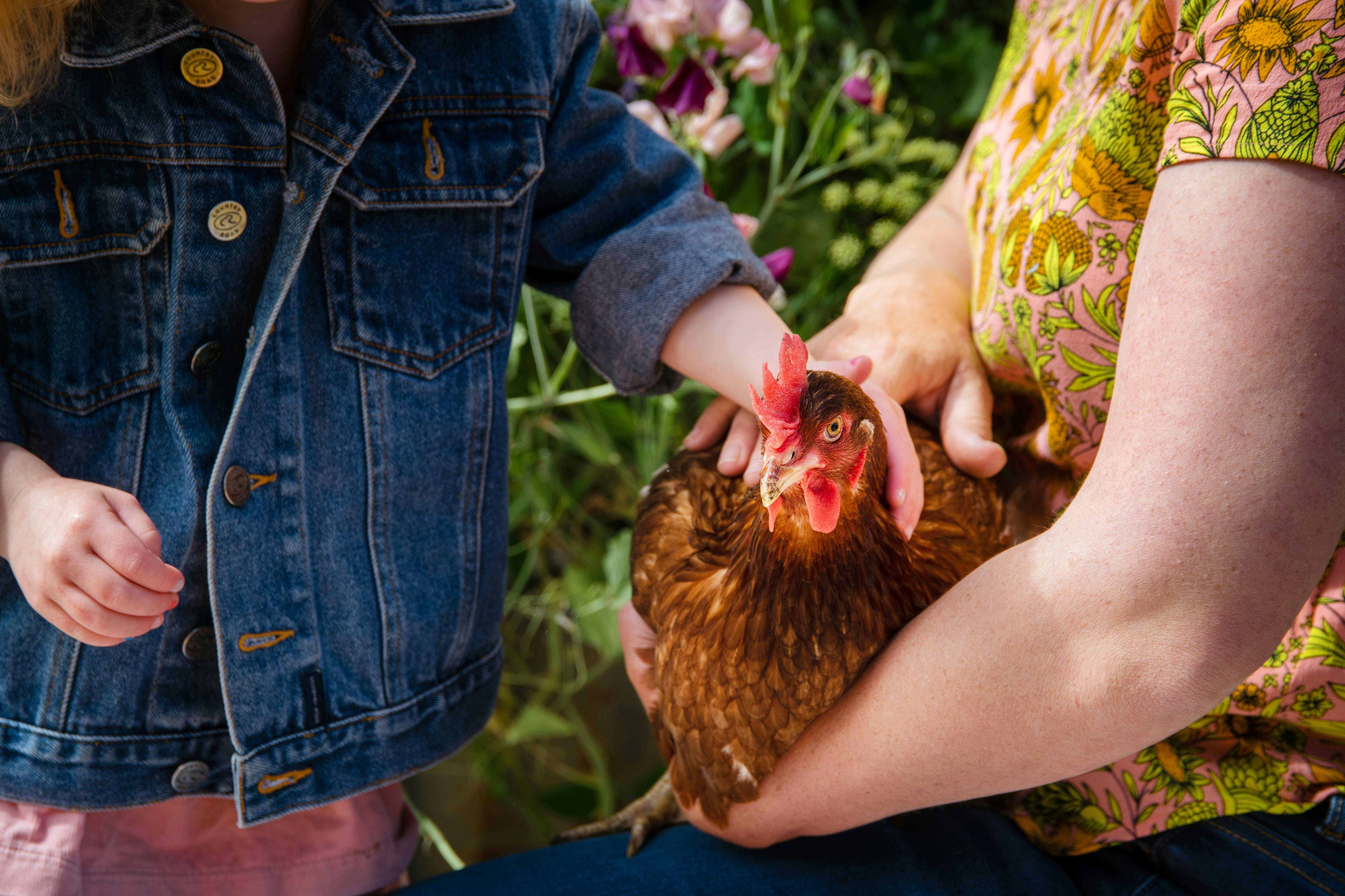 67087D1D227E2592Fd4Ba1E15C74E22D