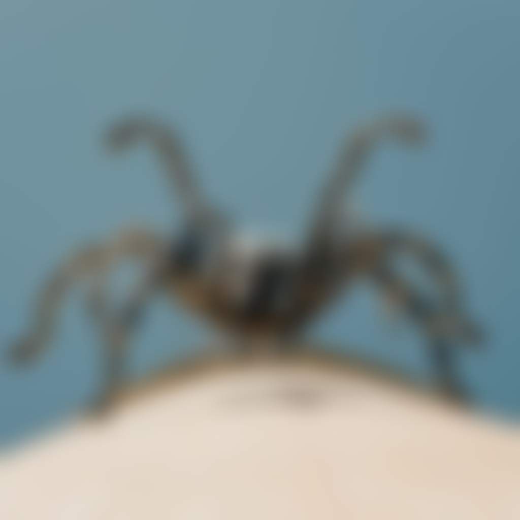 Andrew Whitehead’s Not So Itsy Spider Sculpture sits on Urana’s water tower
