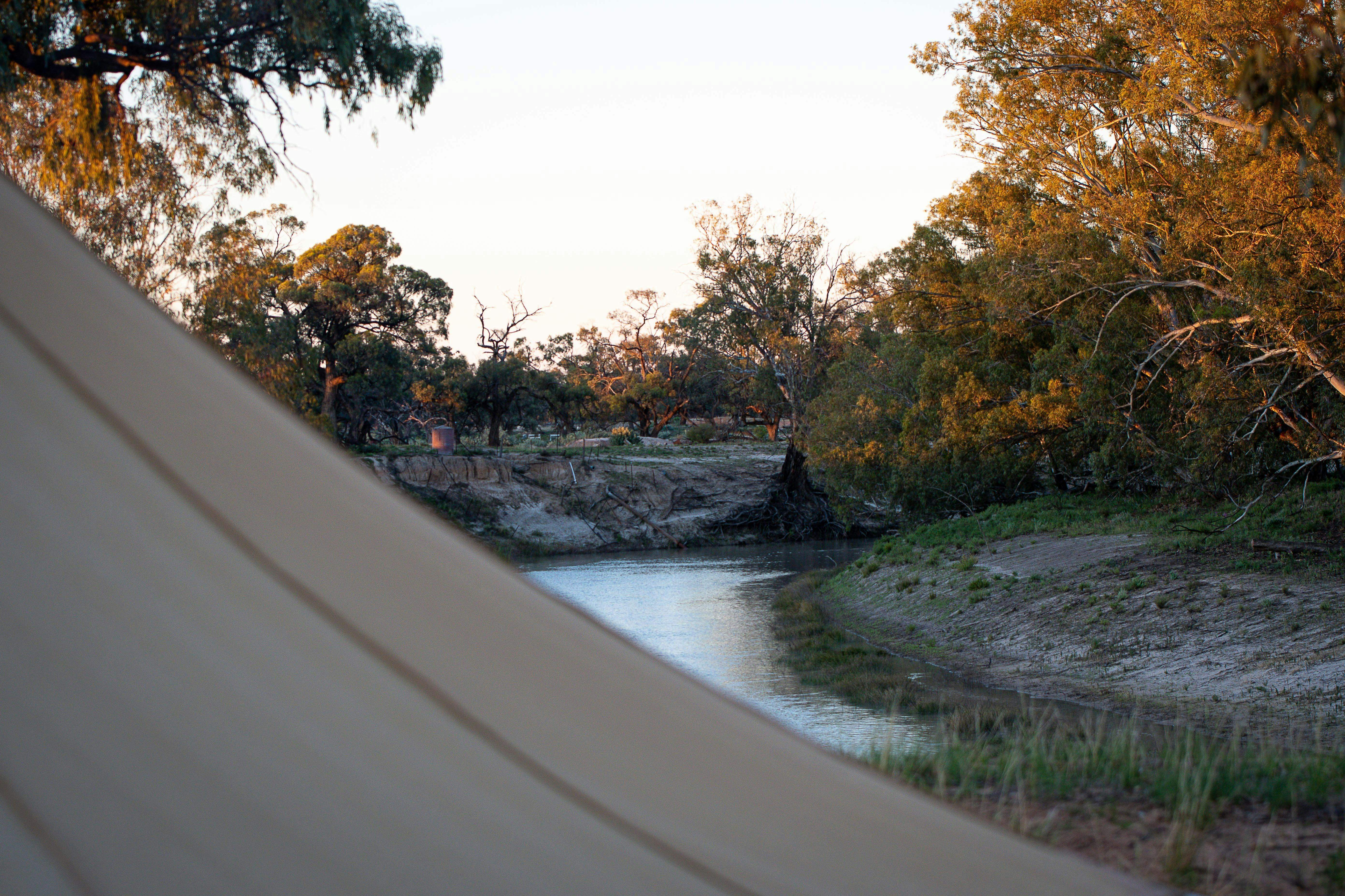 632C72E2E6E5B3Ff3Ddefa8B4Eb6234F