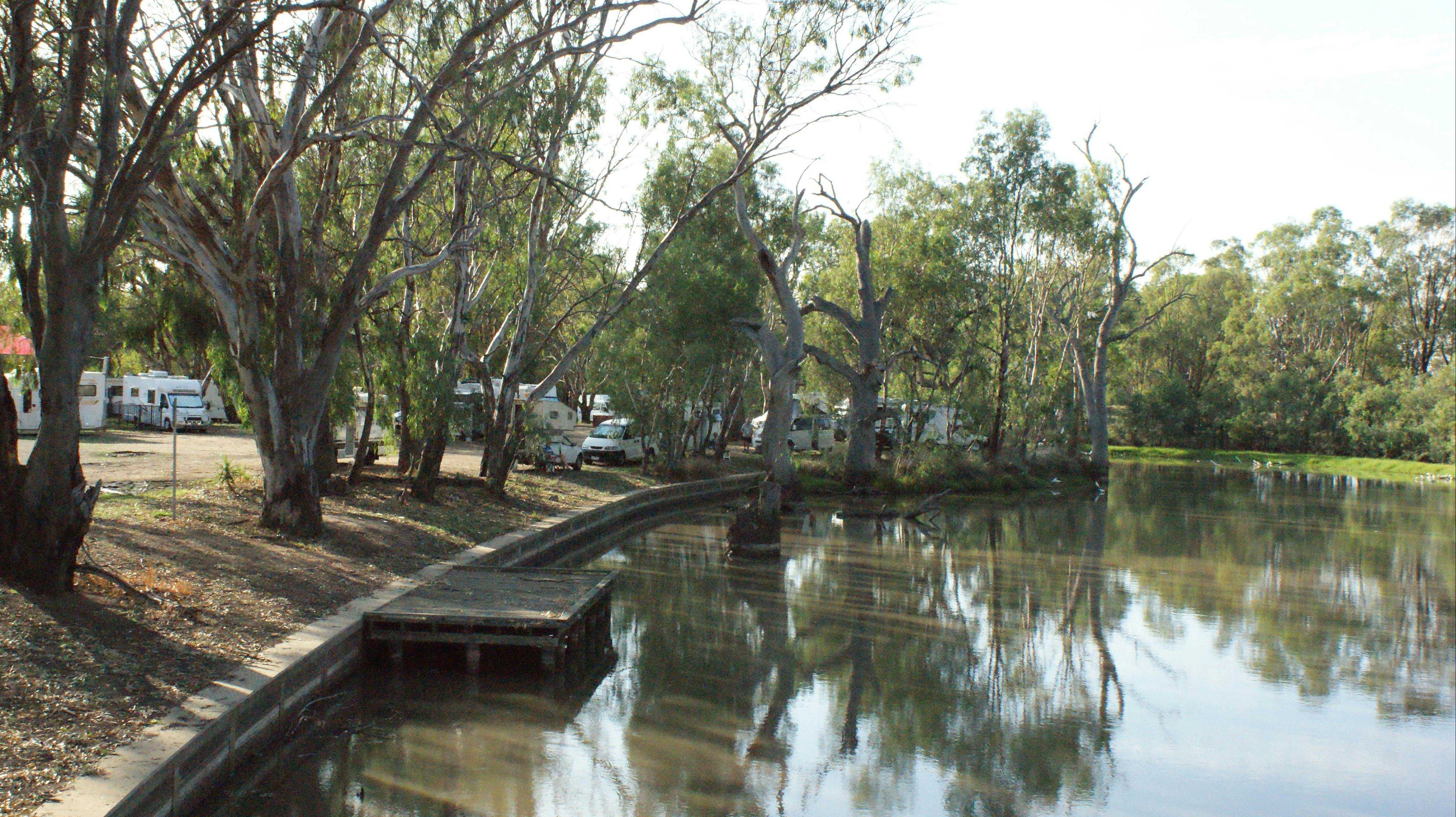 49Fef5Fc355626005F16Aa0339C2Ef98