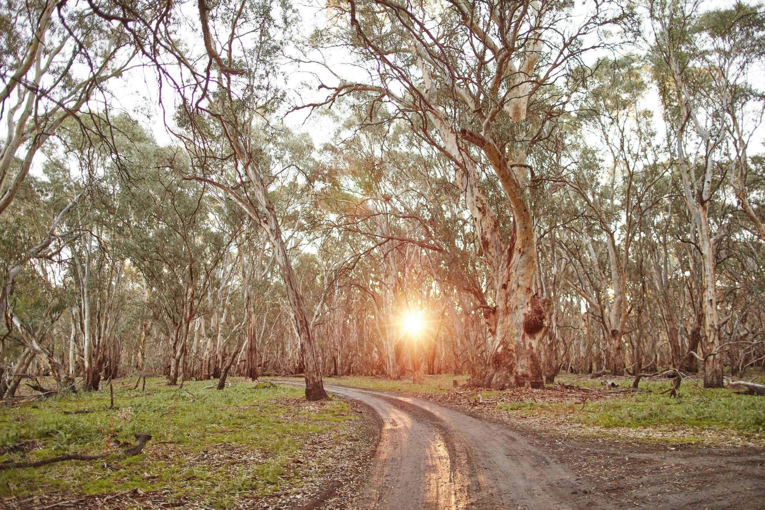 4Ebf78938Eb4251C6Ffbc7A2Ba960C32