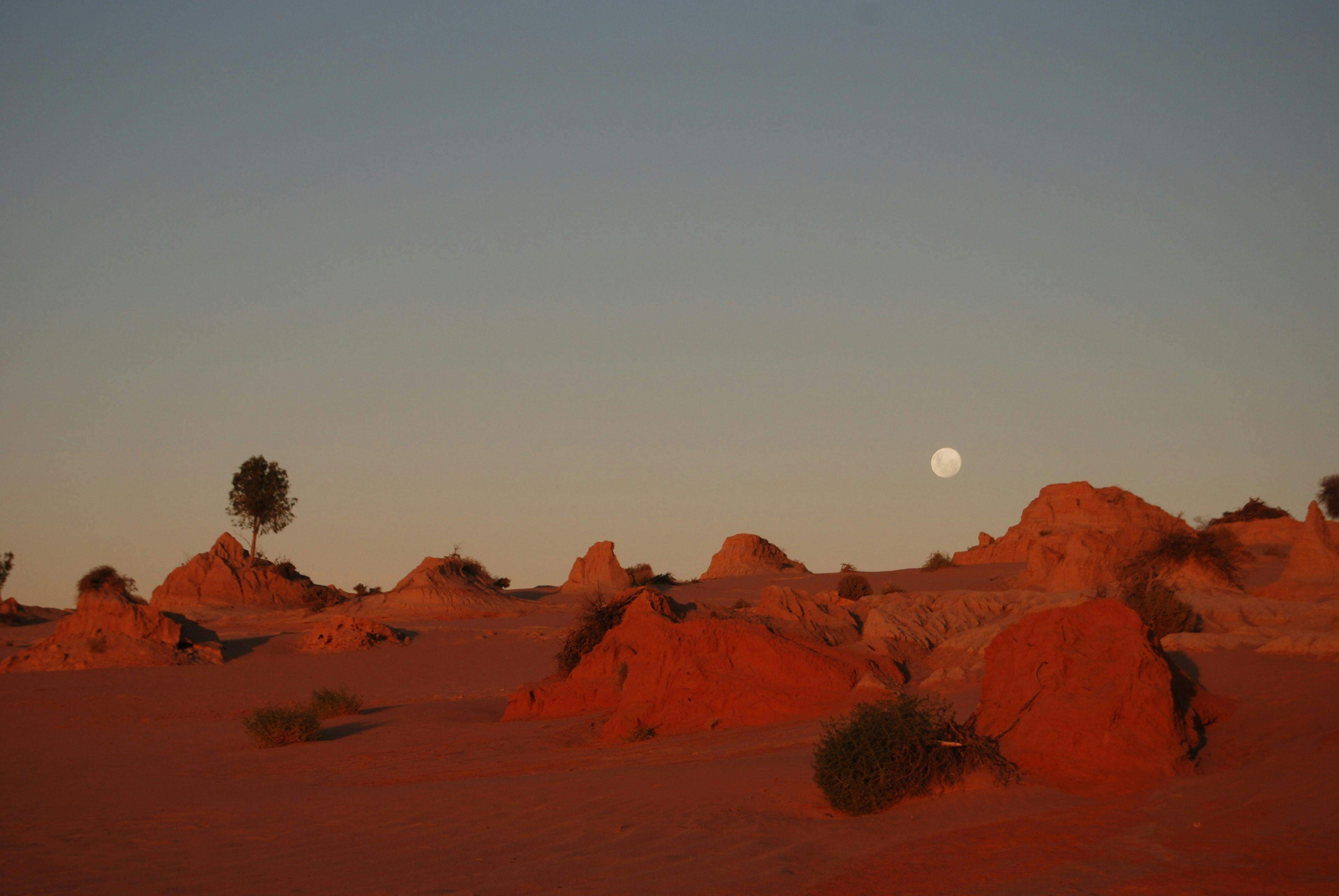Original__9276771_El45_Moon_Rise_Mungo_Np_3Lch32A