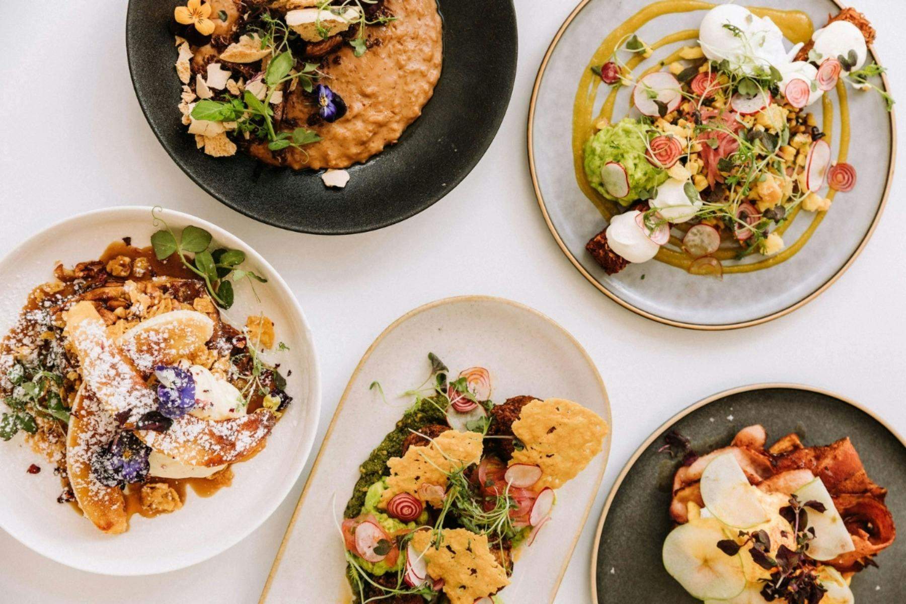 67E6Cd93Dd98Bb9Ed043D4F98368Ca9D