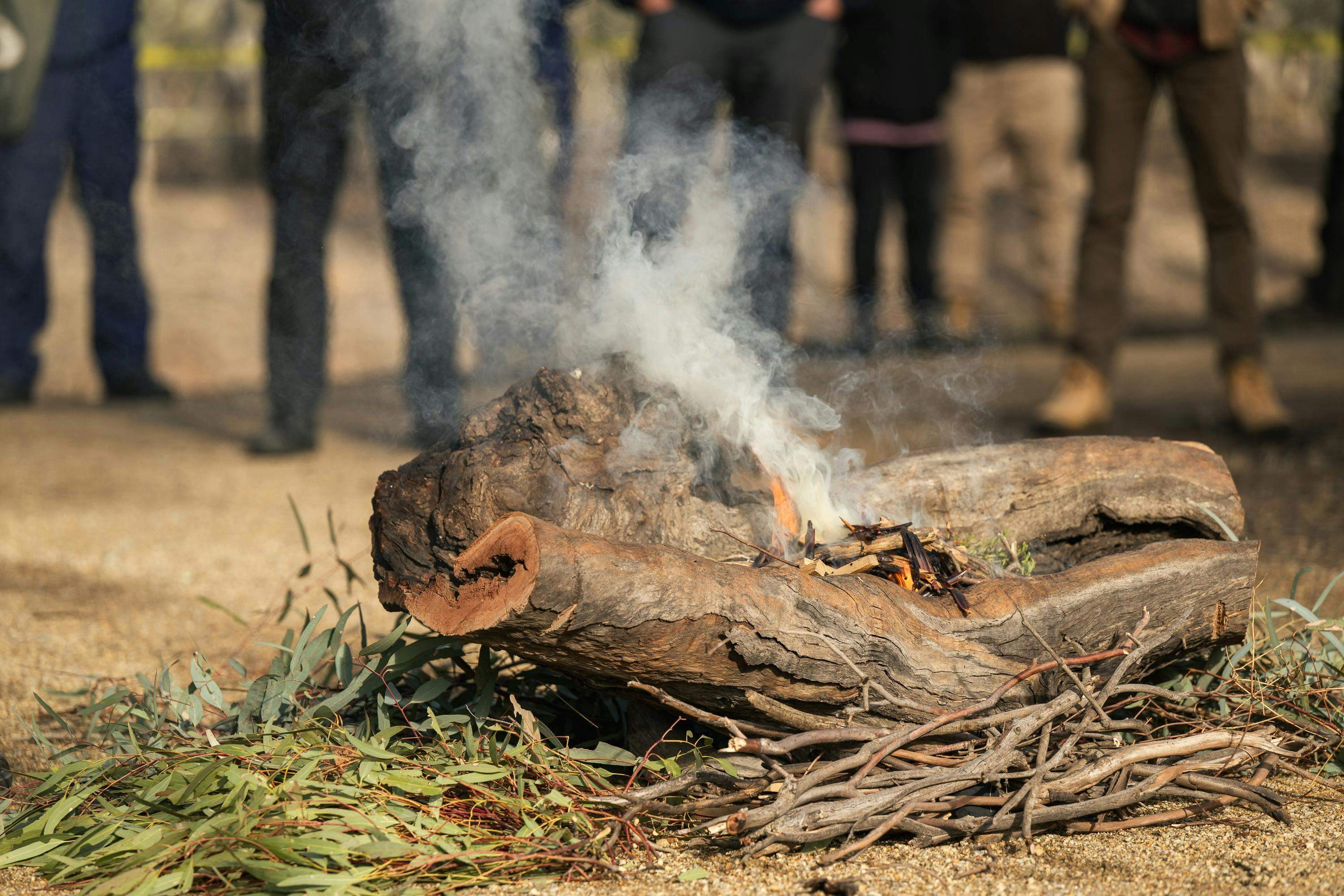 9F9Ec49Ad105A19De47543A28198A855