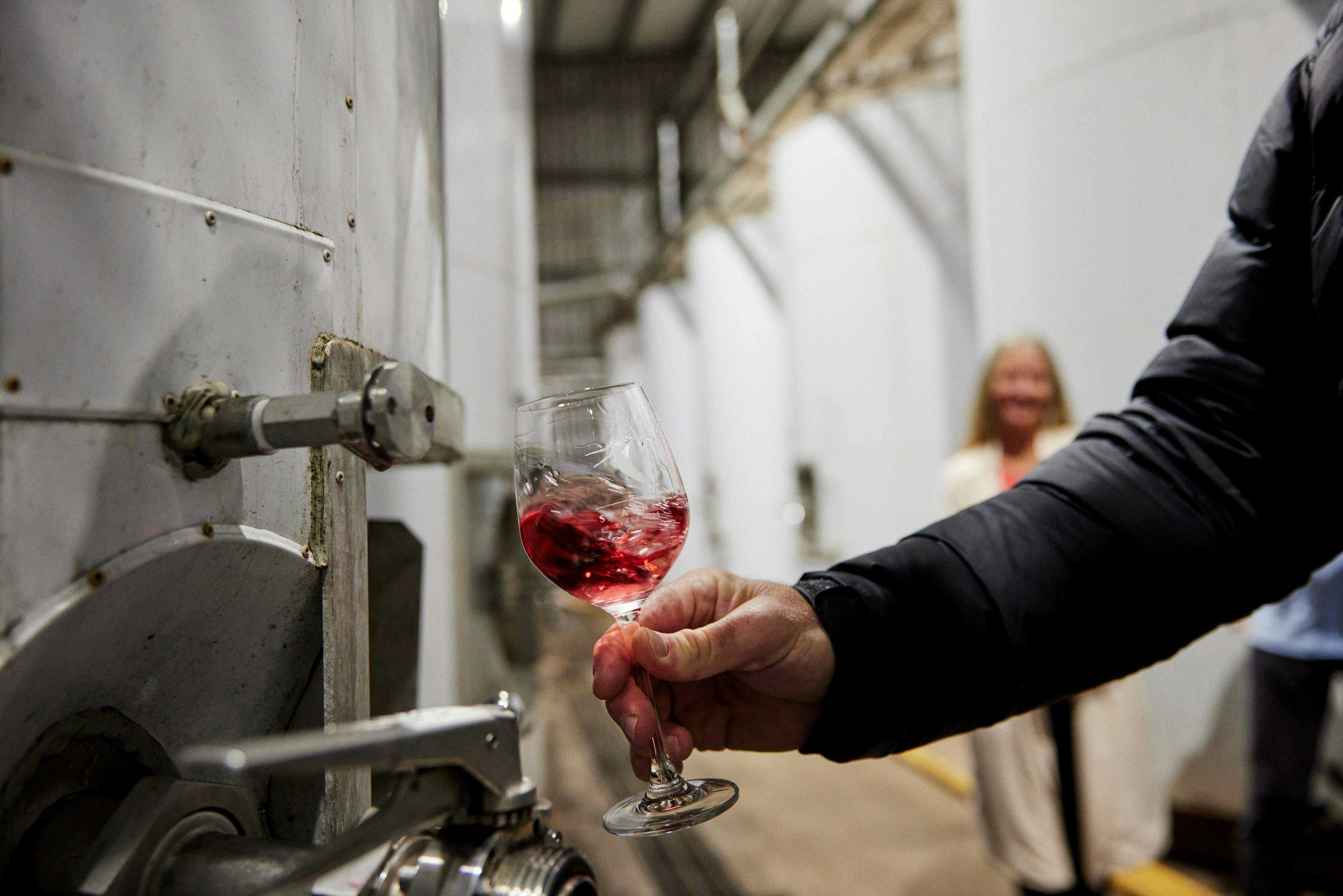 A462487Feb0E020A0567B112E67E13Ef