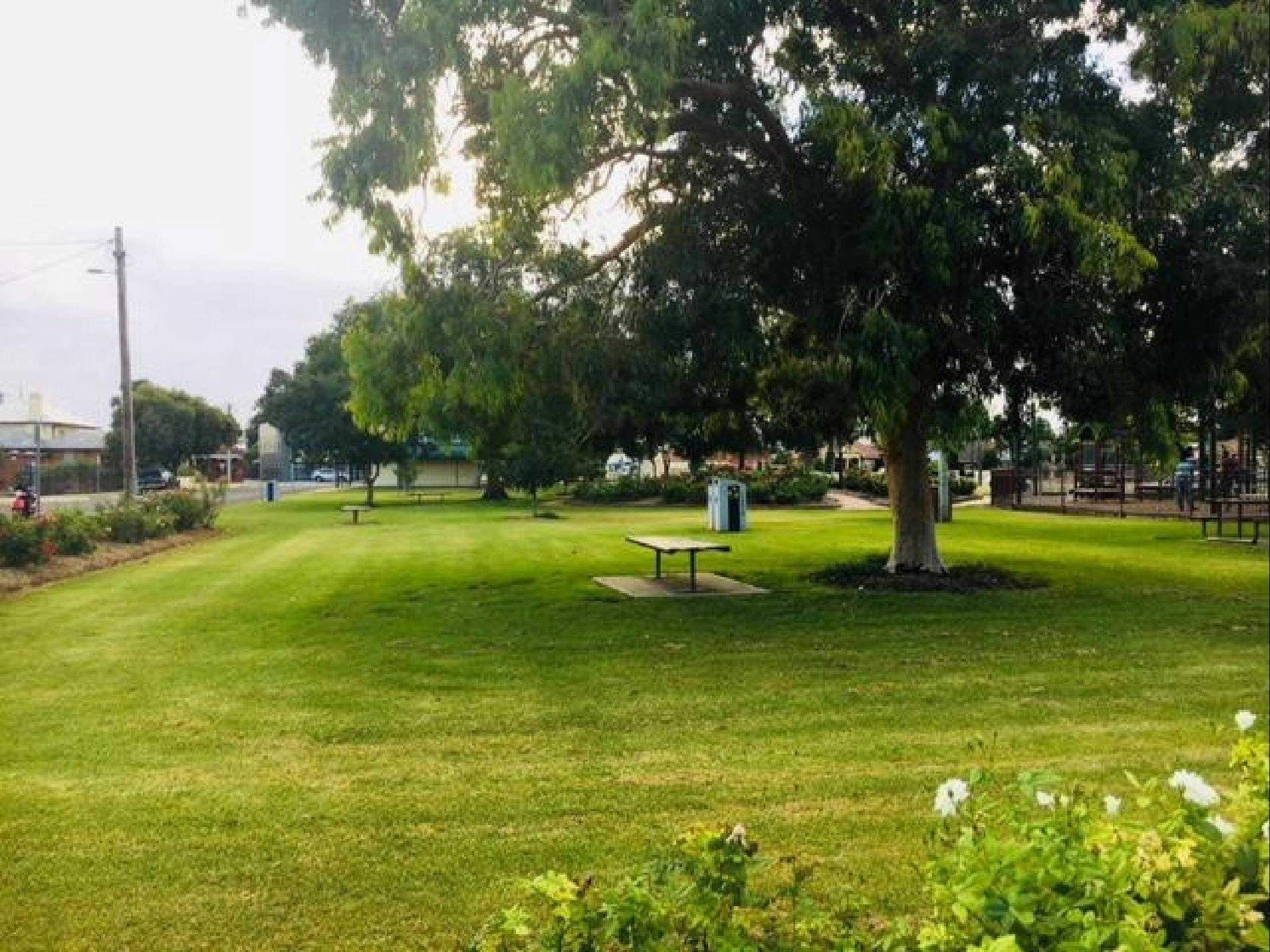 B0973C61F3999B14D19Dd077Bd12C0Dc