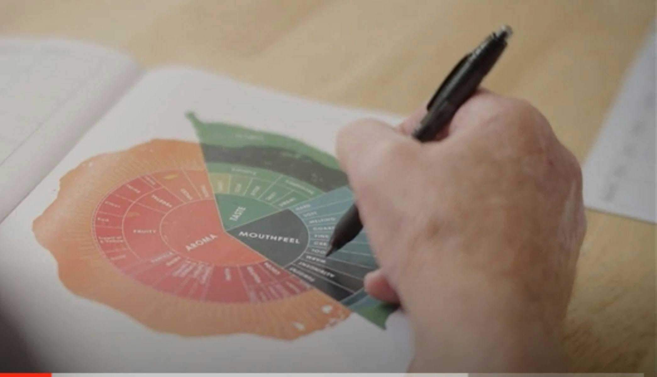 0D533E5Ee238D5Cda75Db771B58634Bd