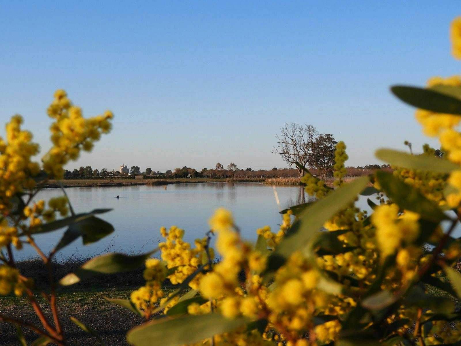 C7B1D4D20C4C9C7C6A27A752732E3521