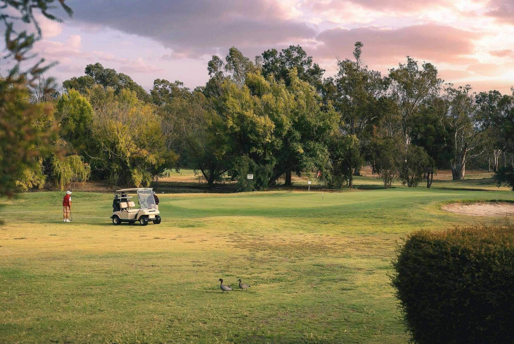 662214850Be68261Bd31C4D27827E0Bd