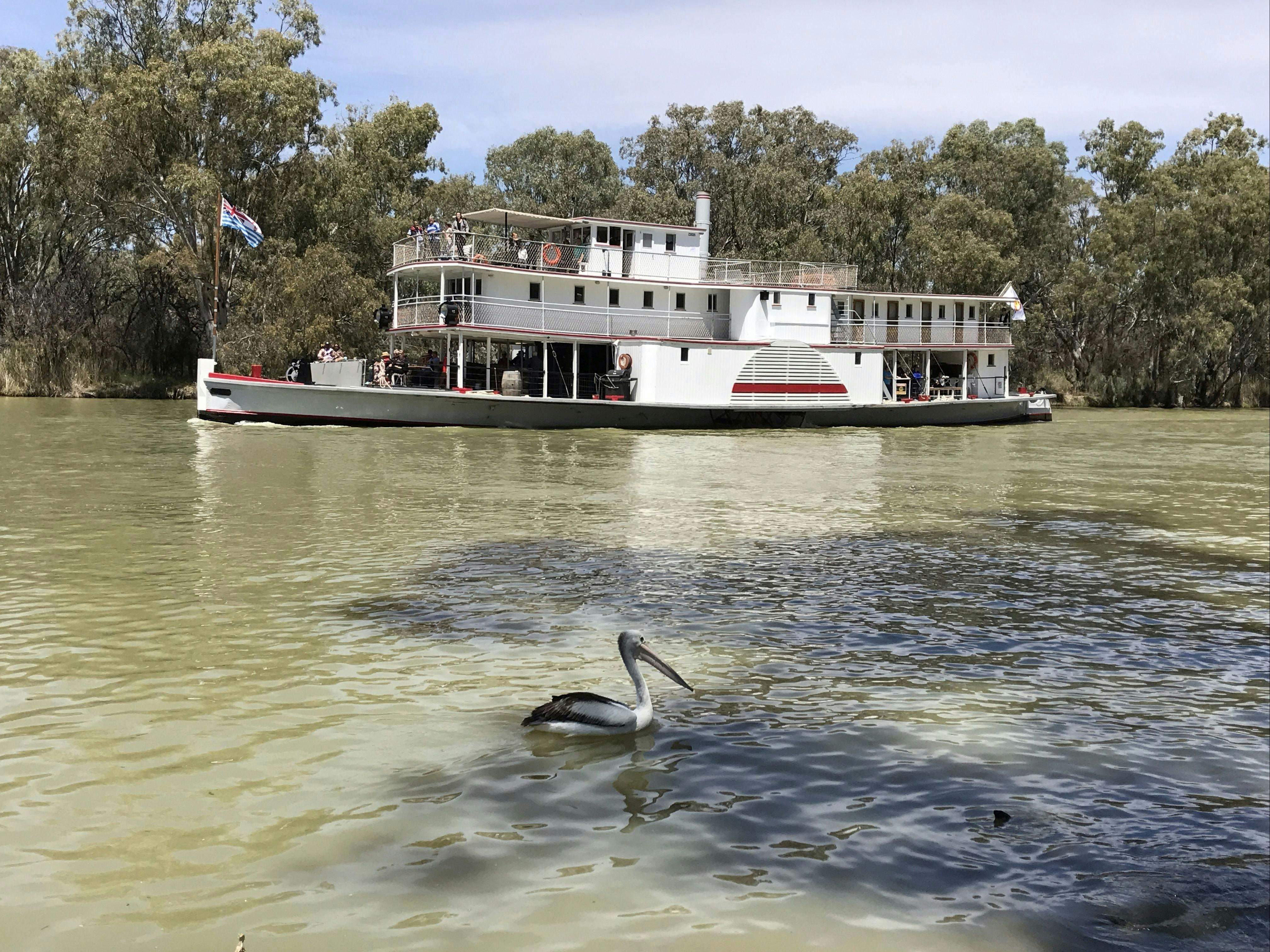 9F7Be6D01Bb095A70984Fff39A6943D5