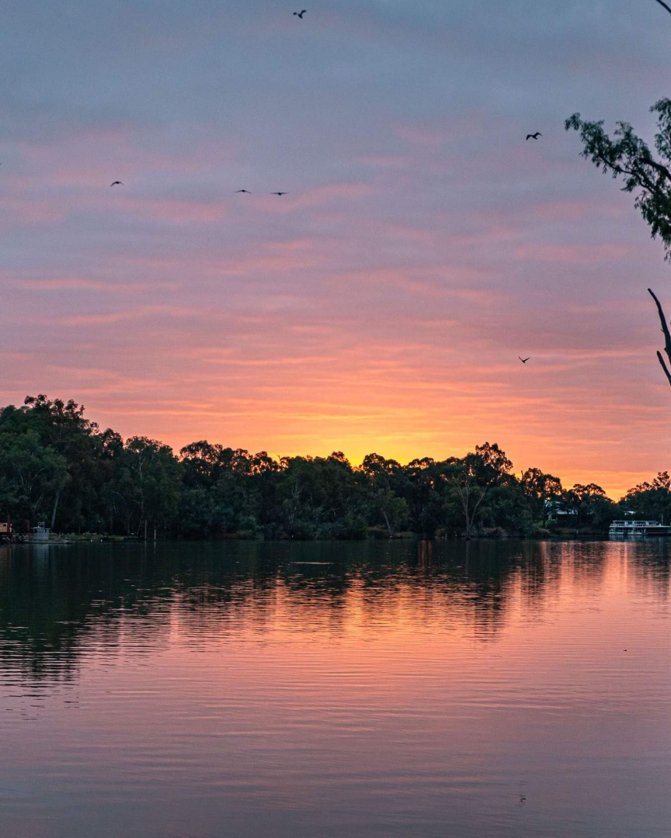 visitthemurray