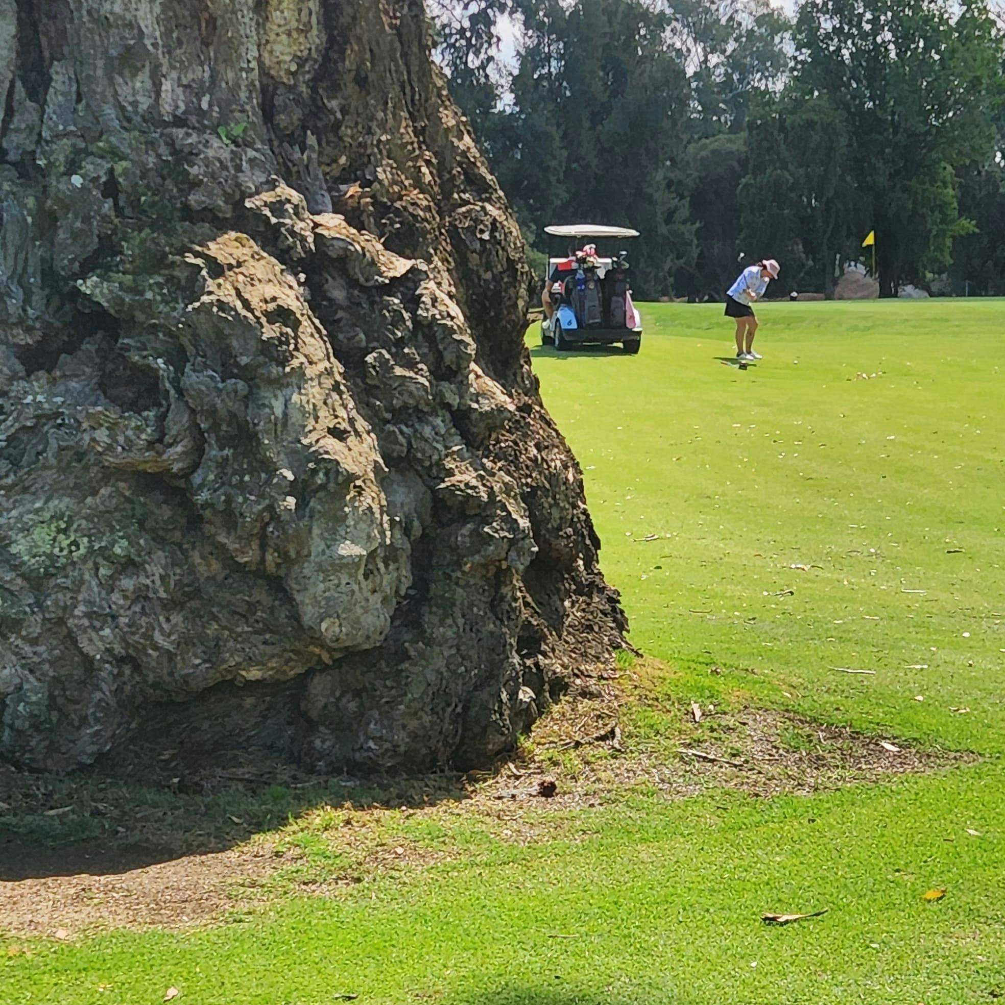 58241476C17A90F46A1Bf7Ad06Ee857F