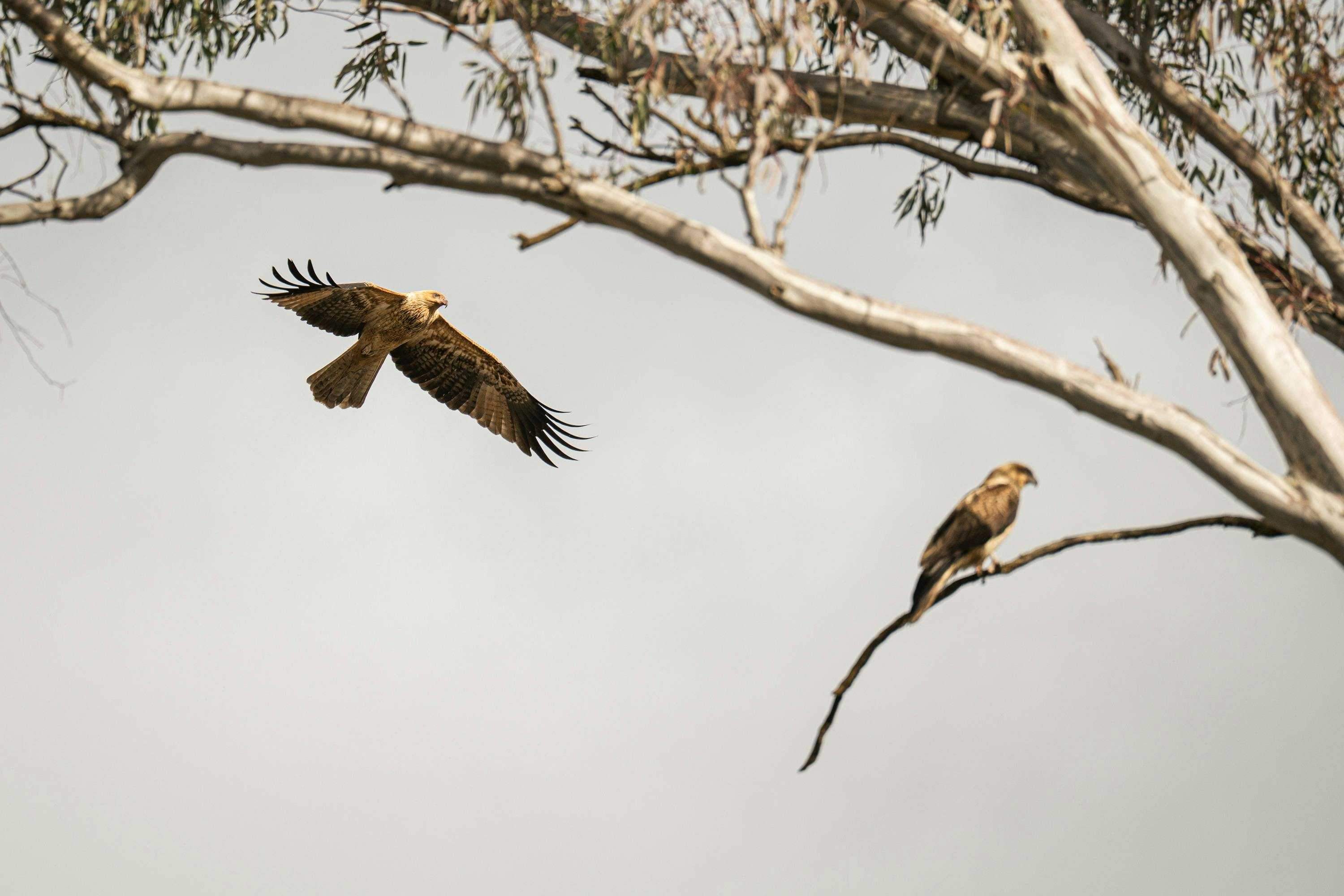 457Cc284Cf25Fdd7F1D034A2Dfb186Df