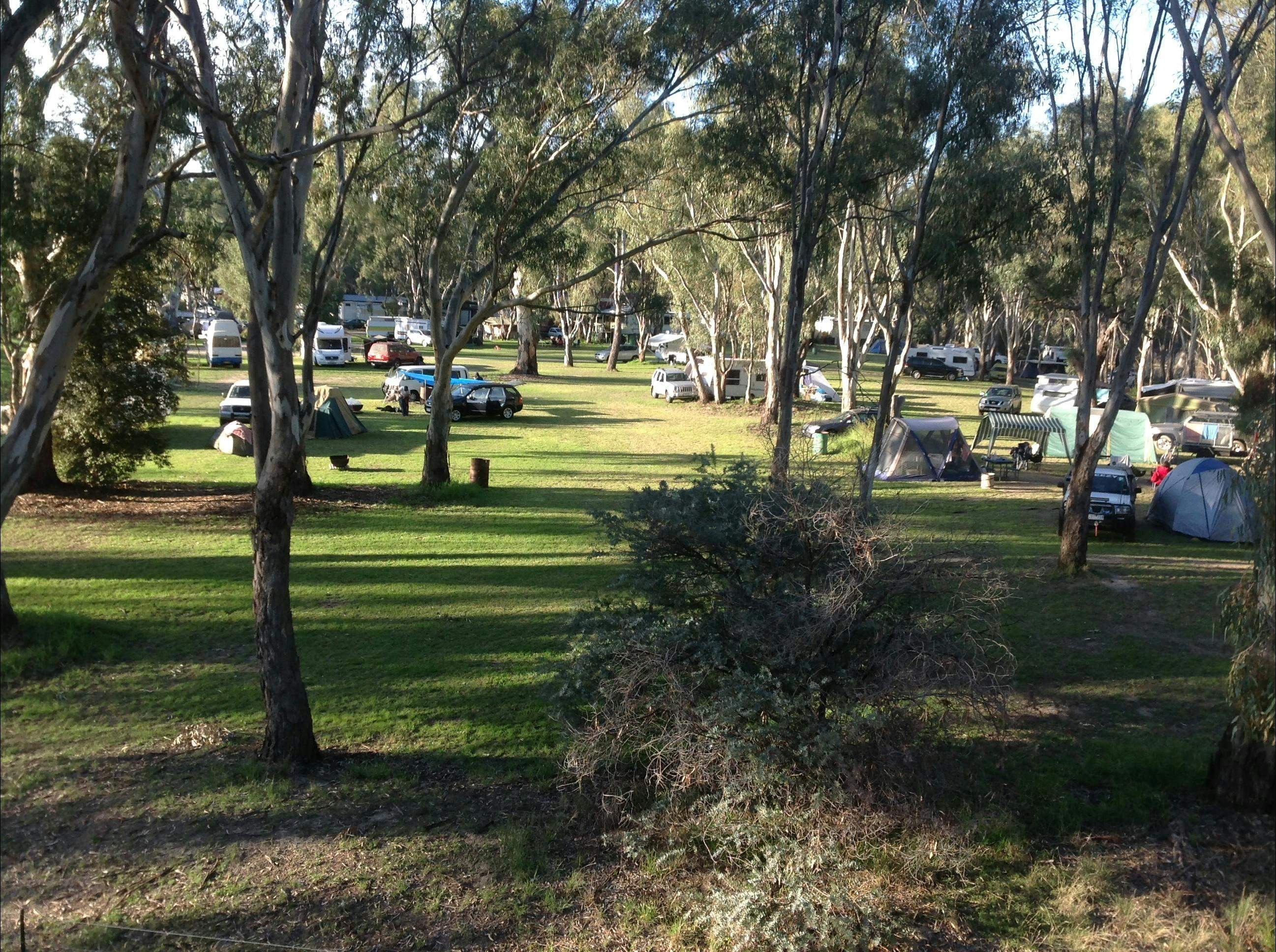 0E29Eb60F93Ba55472868E9B74F50Ddd