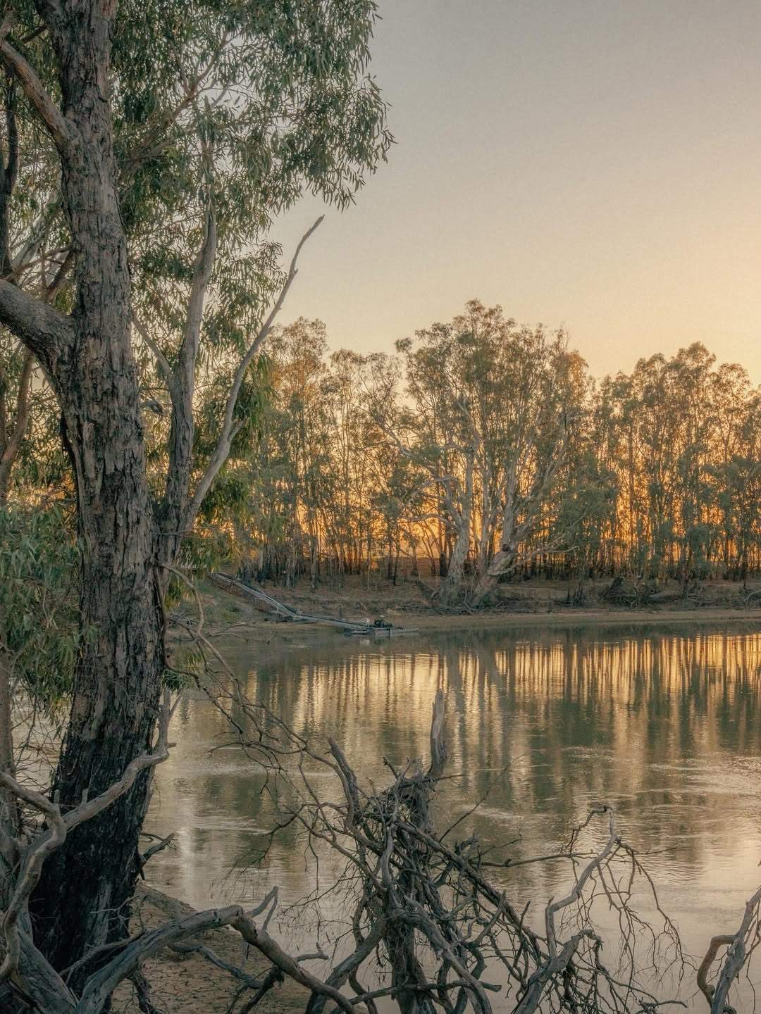 visitthemurray