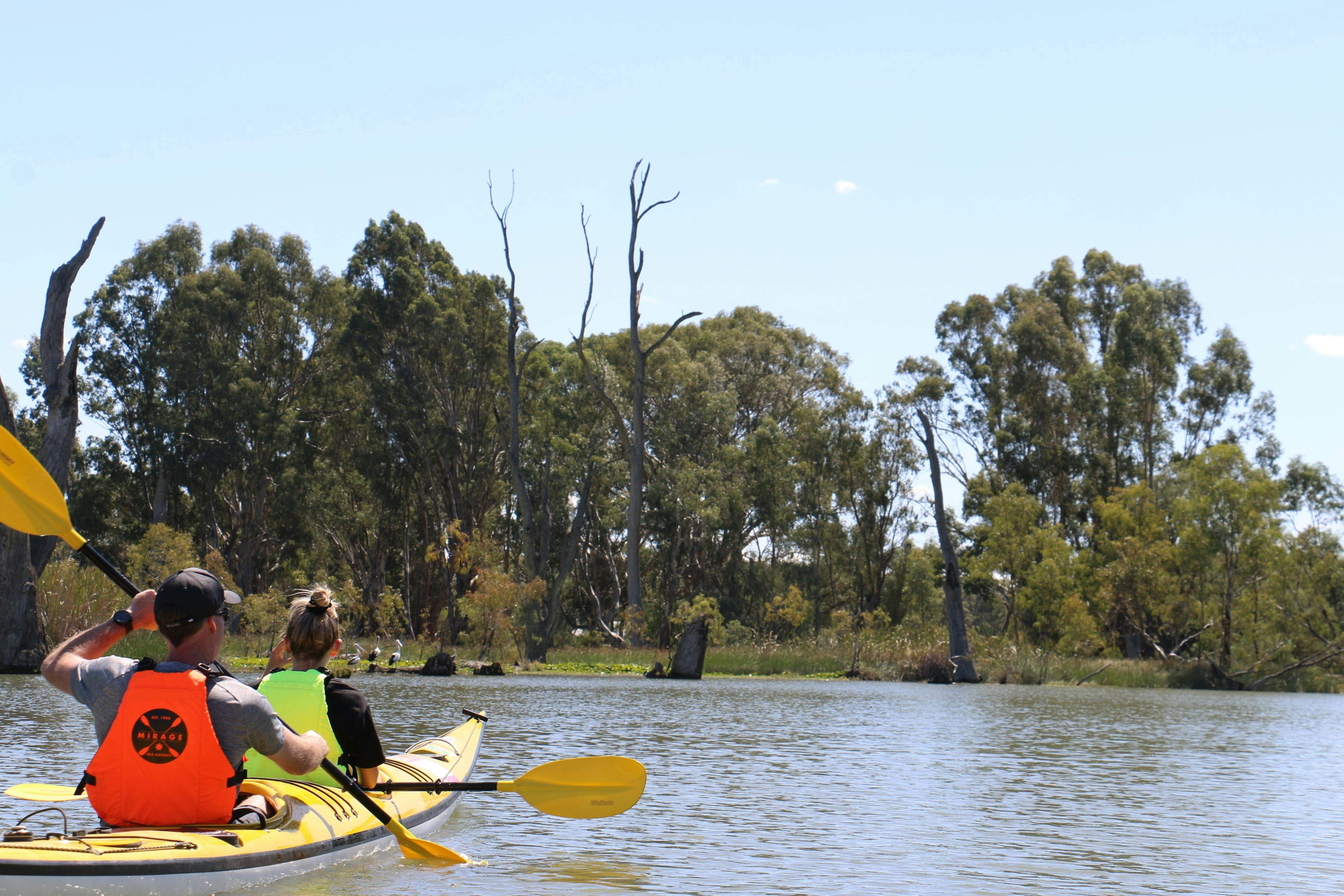 E0C5B5B6344127E32124588B80384581